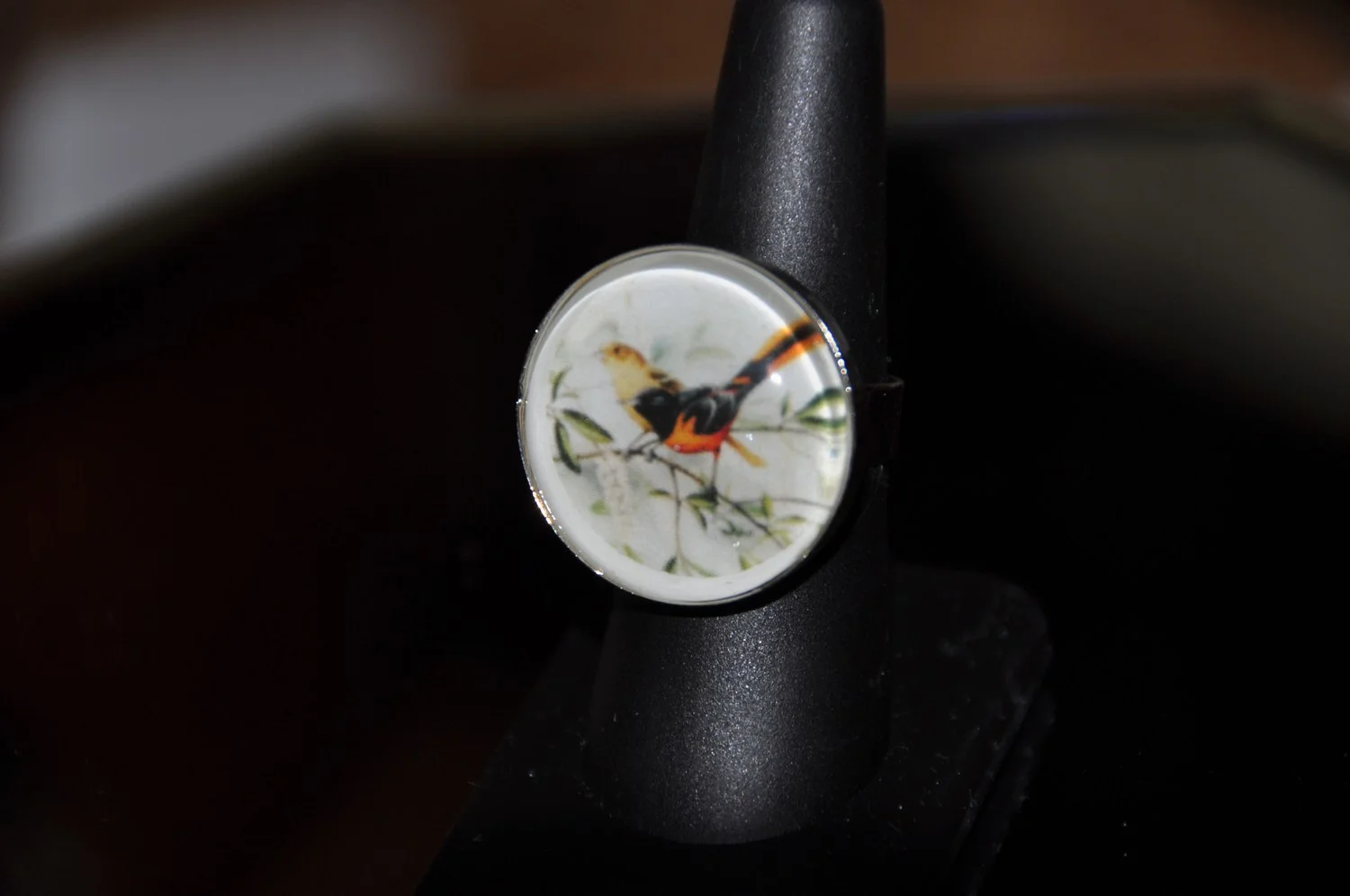 mini-DSC_0298.JPG