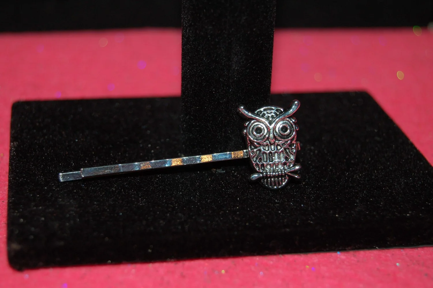 mini-DSC_3530.JPG
