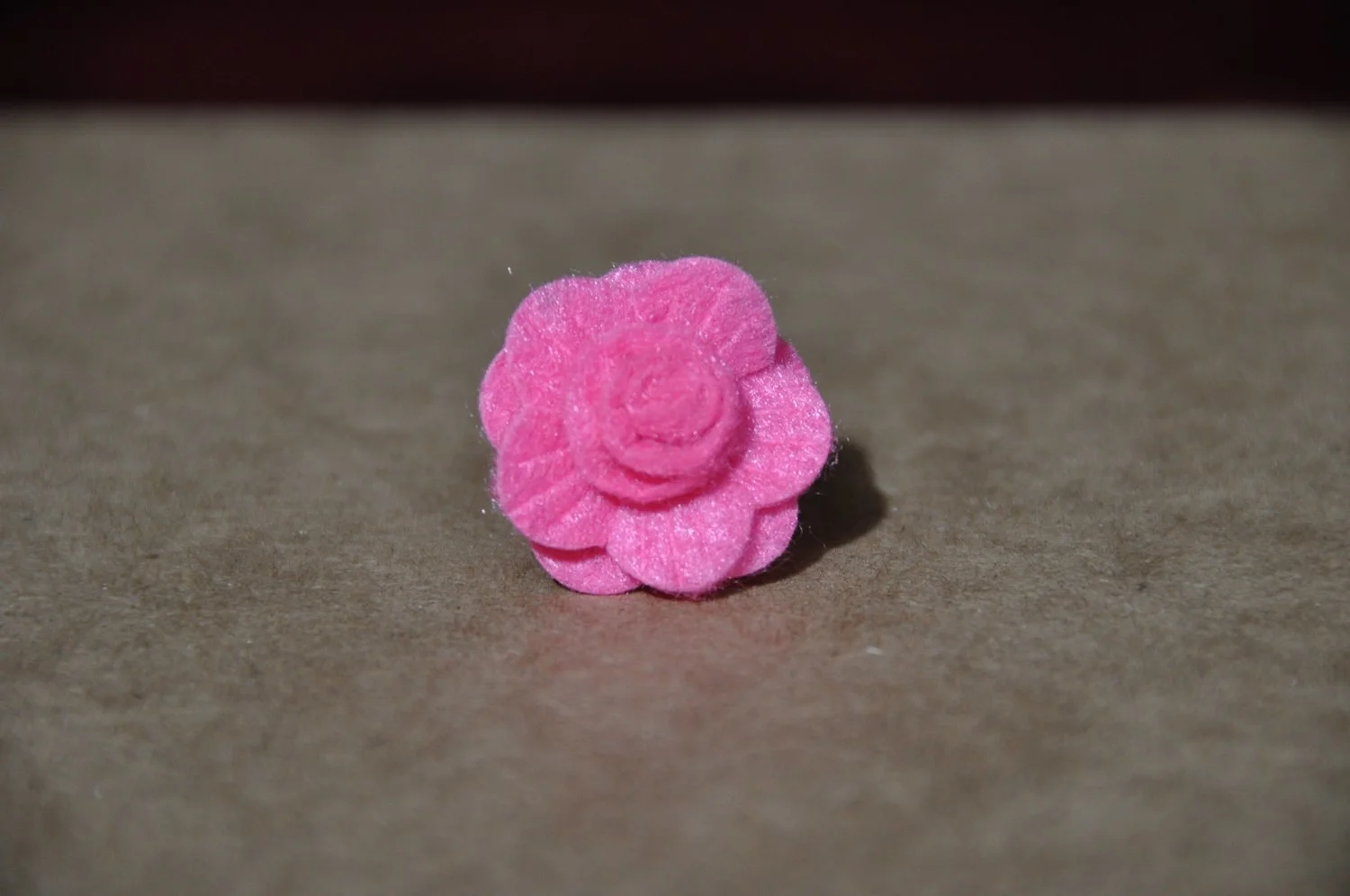 mini-DSC_0650.JPG