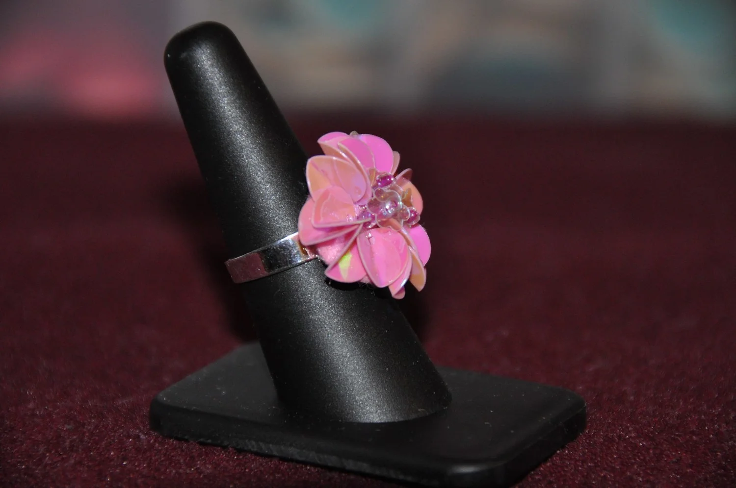 mini-DSC_0529.JPG