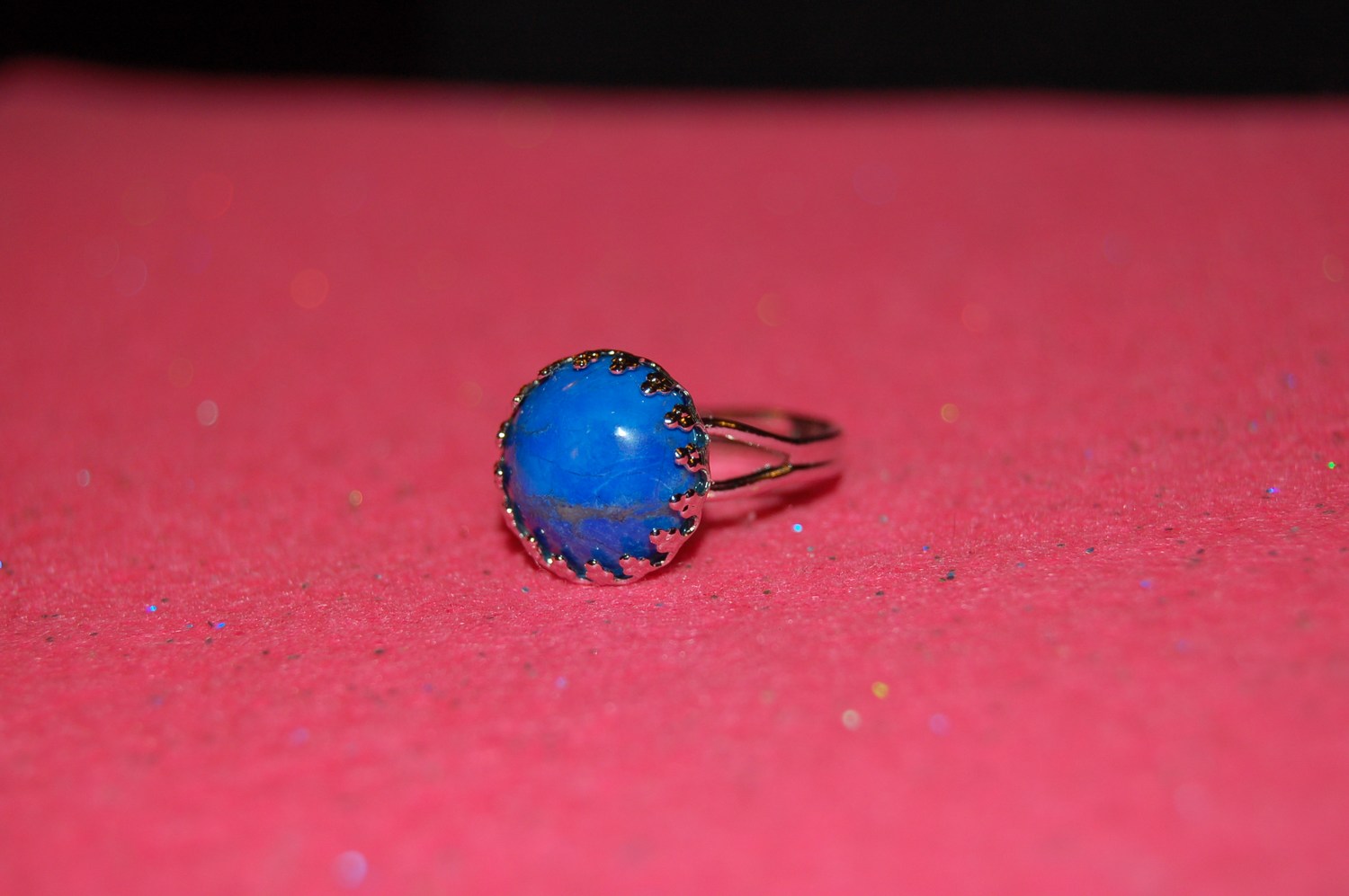 mini-DSC_5278.JPG