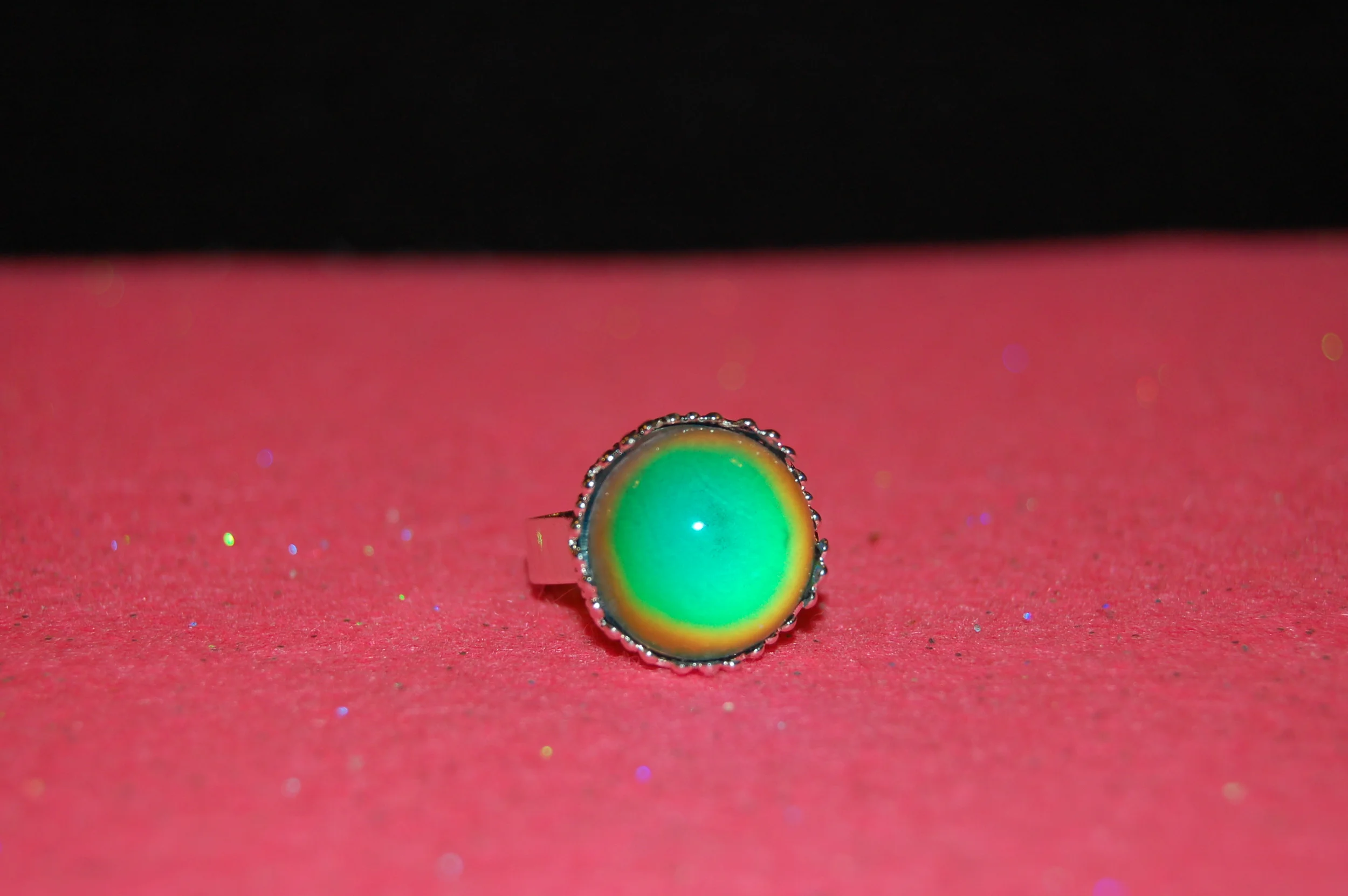 DSC_6598.JPG