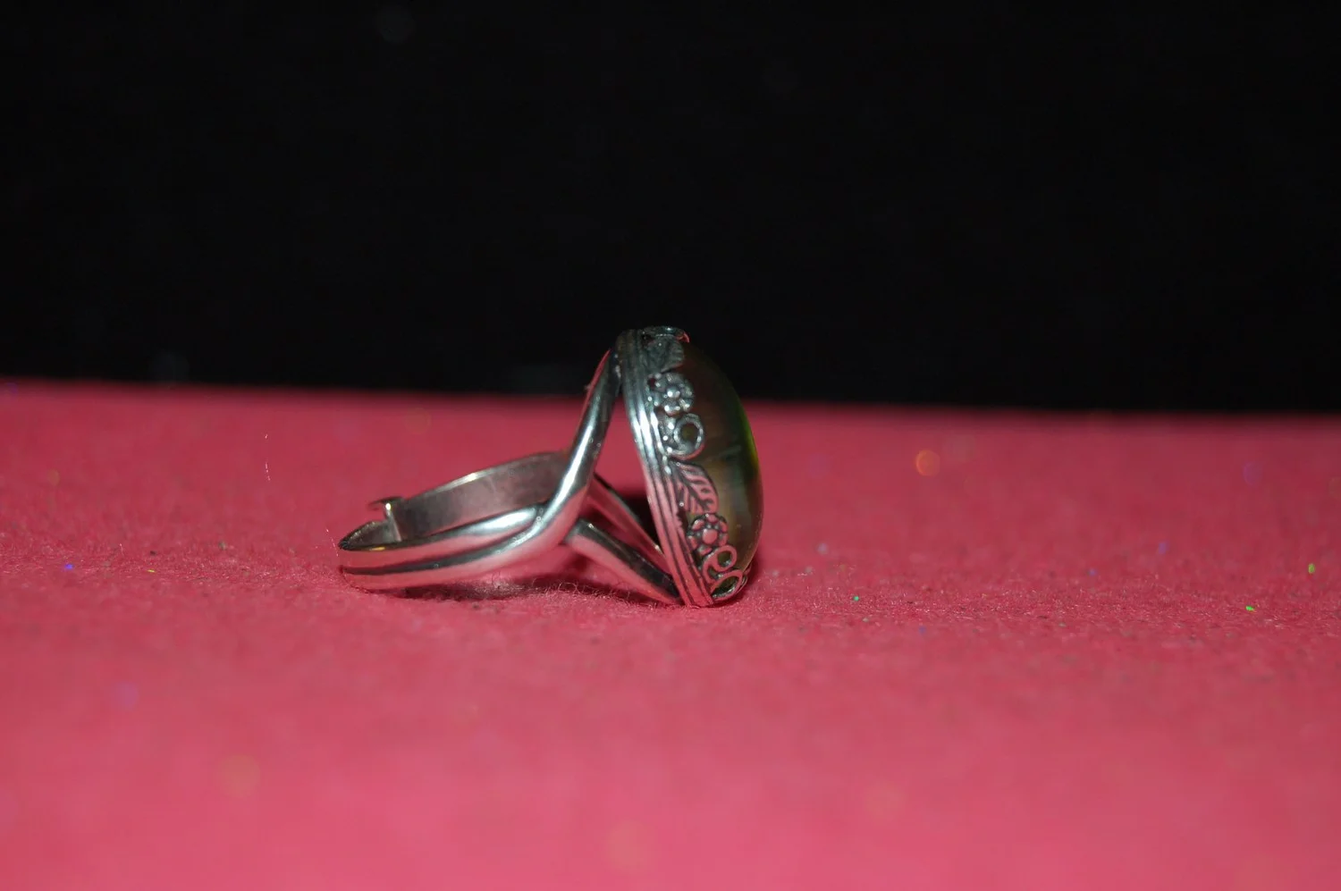 mini-DSC_9483.JPG