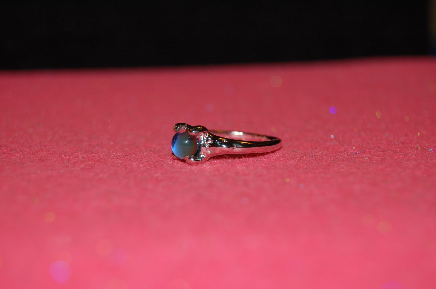 mini-DSC_9874.JPG