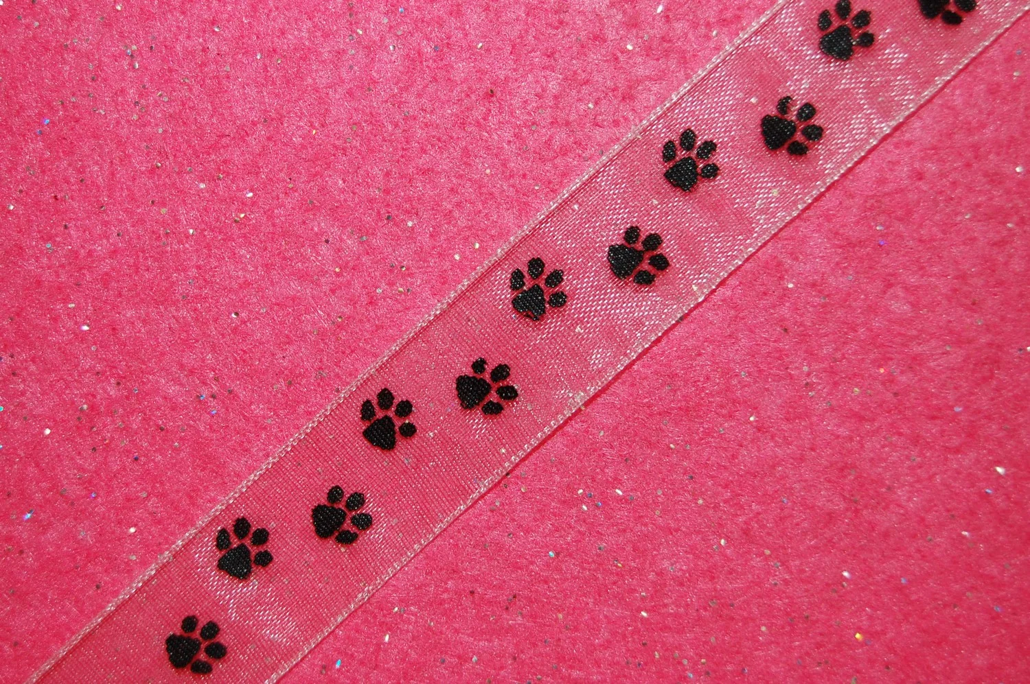 mini-DSC_1697.JPG