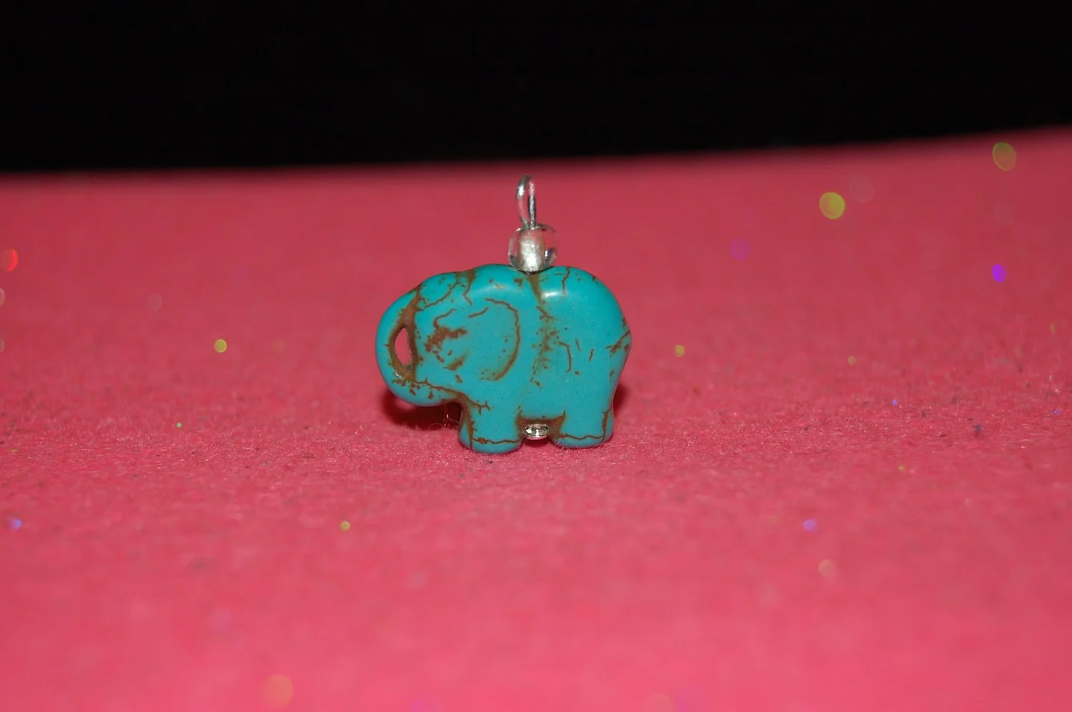 mini-DSC_3574.JPG