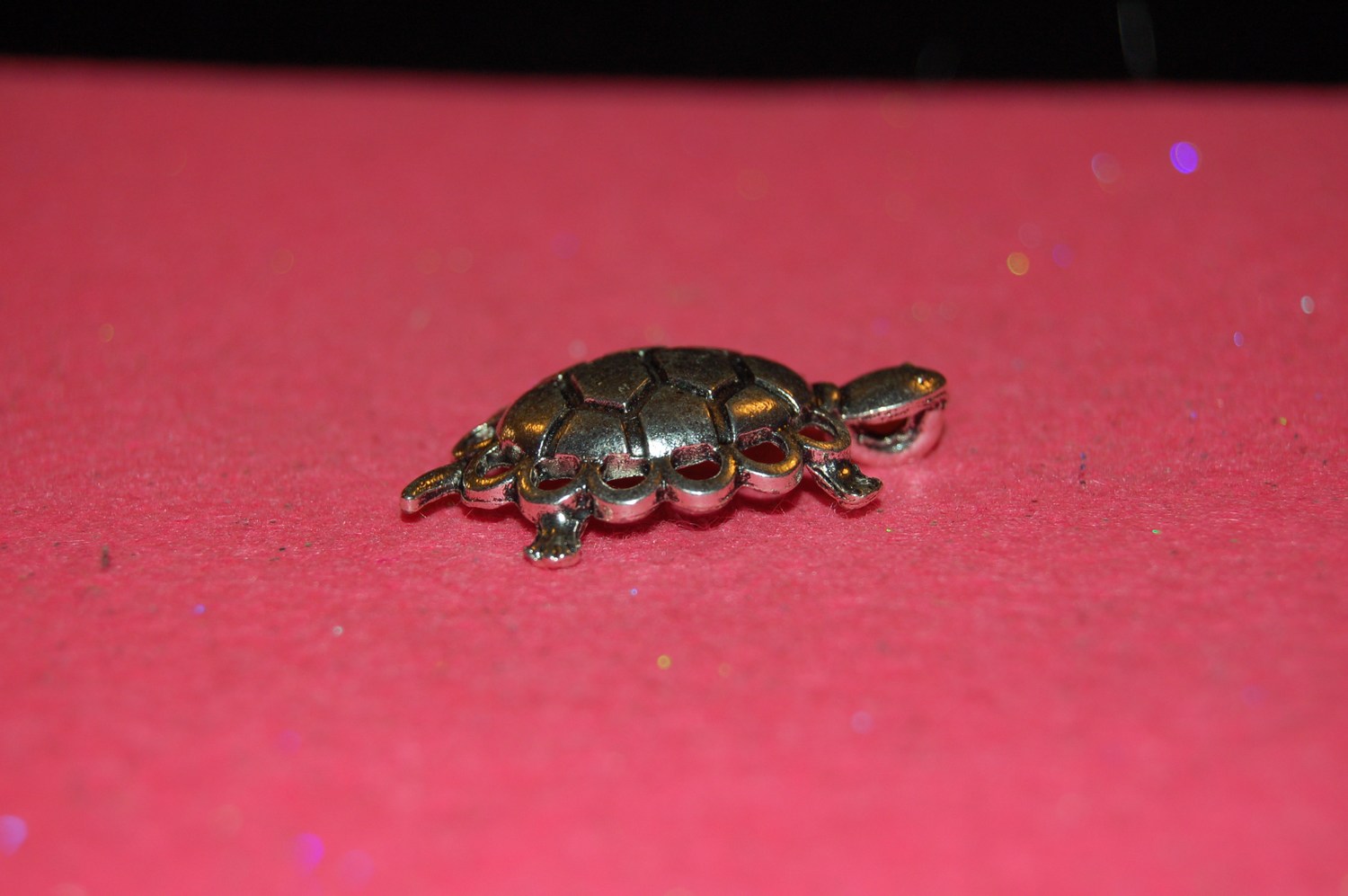 mini-DSC_4369.JPG