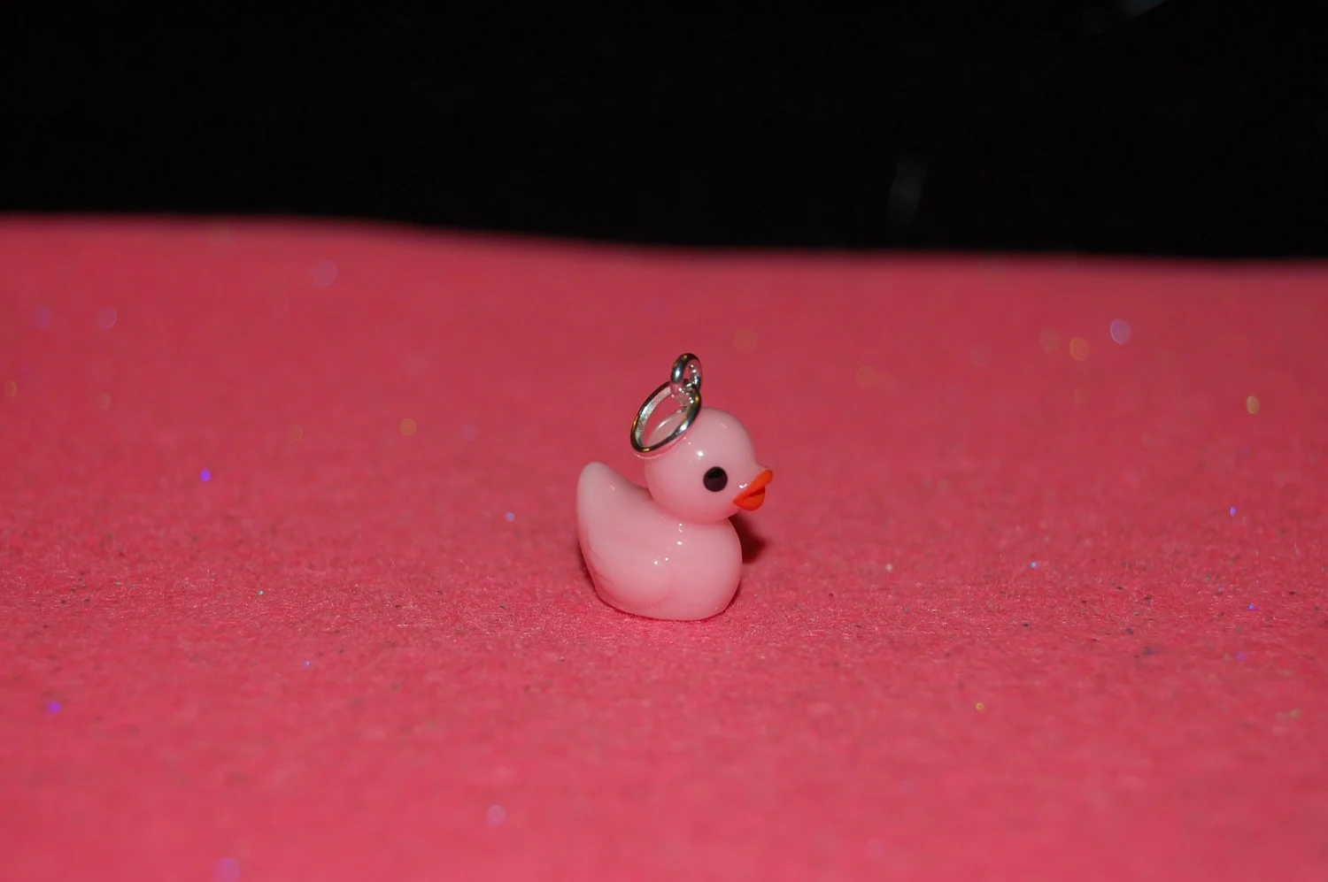 mini-DSC_4638.JPG