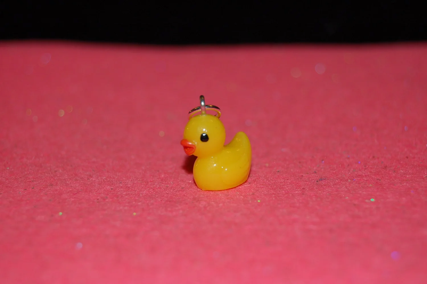 mini-DSC_4647.JPG