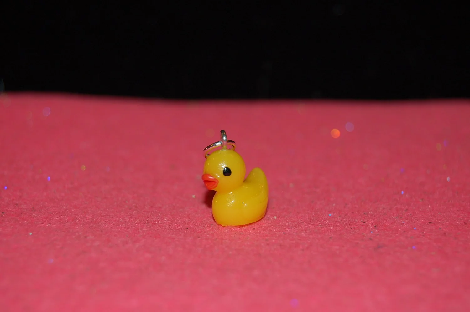 mini-DSC_4644.JPG
