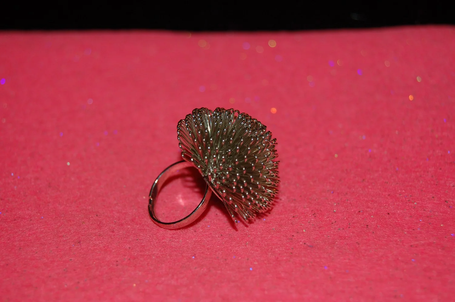mini-DSC_5054.JPG