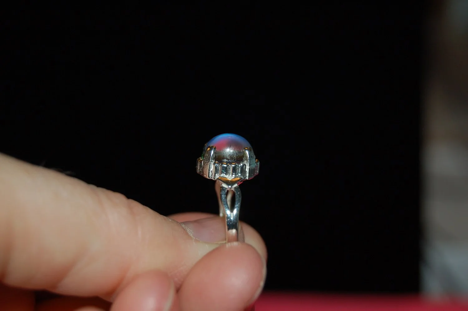 mini-DSC_6238.JPG