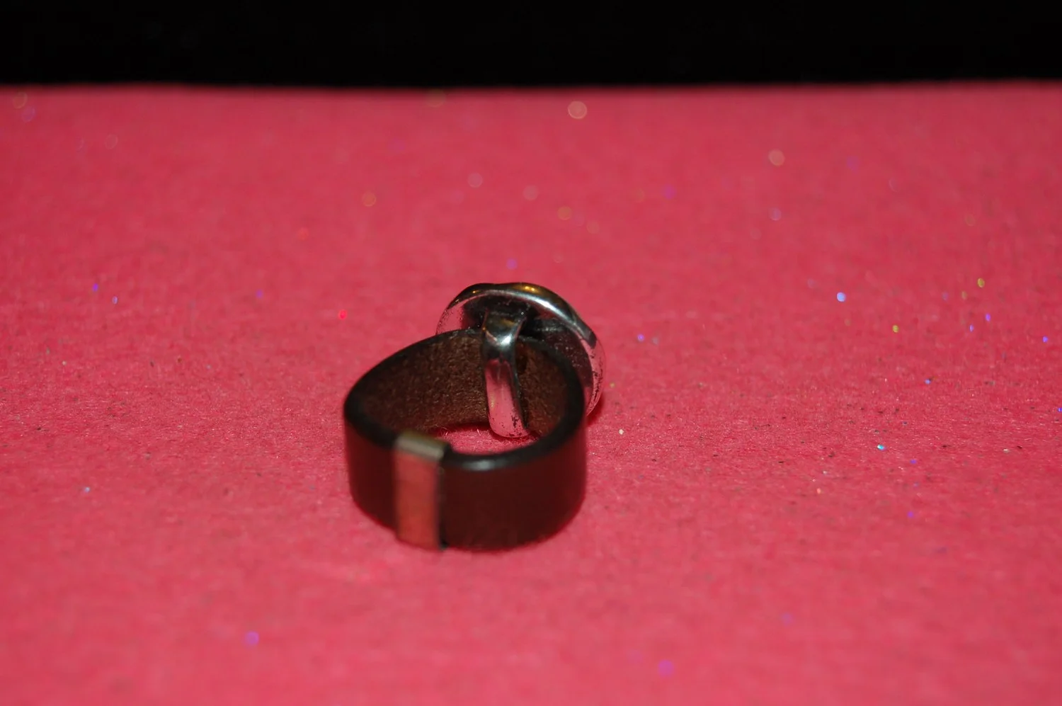 mini-DSC_6990.JPG