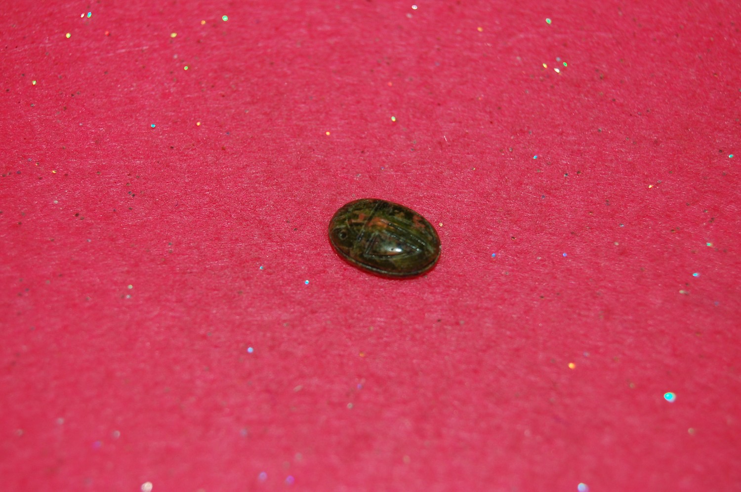 mini-DSC_7135.JPG