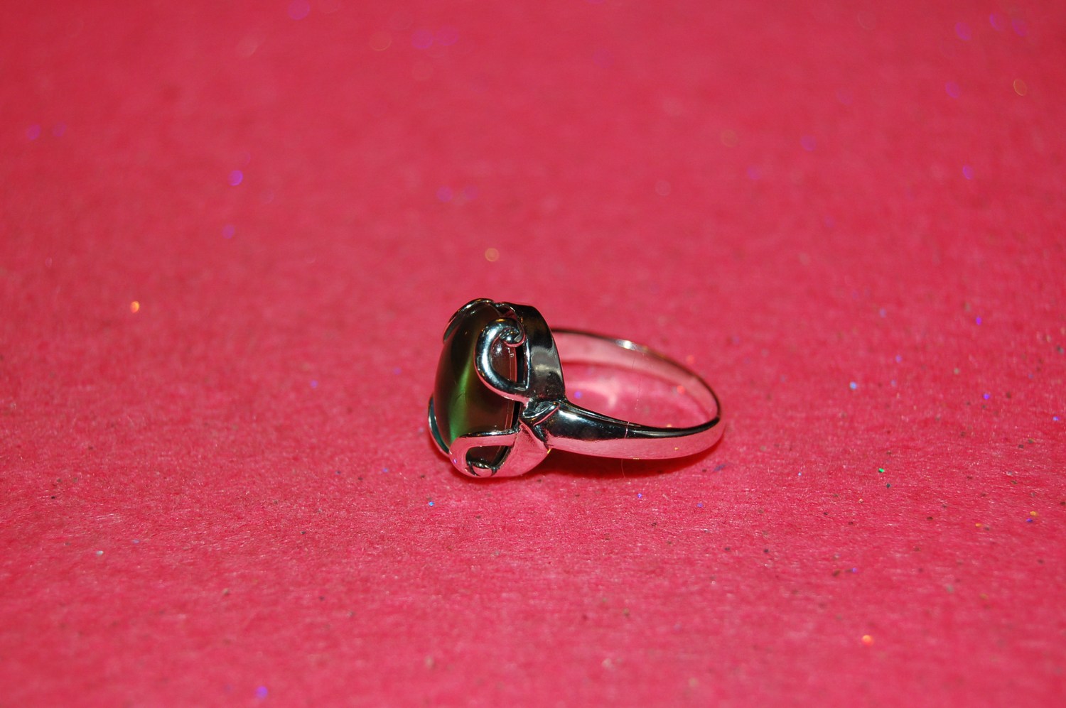 mini-DSC_7526.JPG