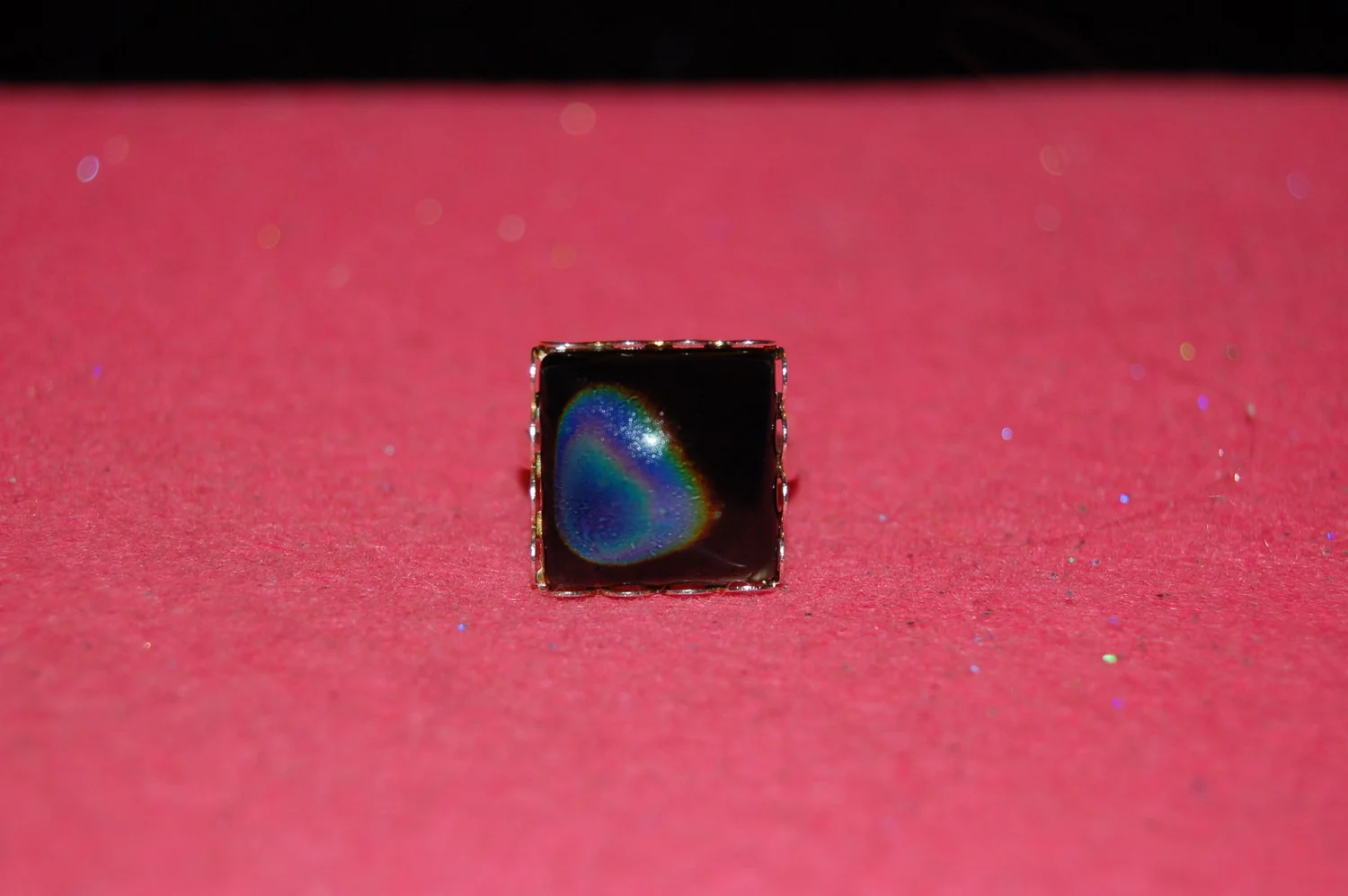 mini-DSC_9329.JPG