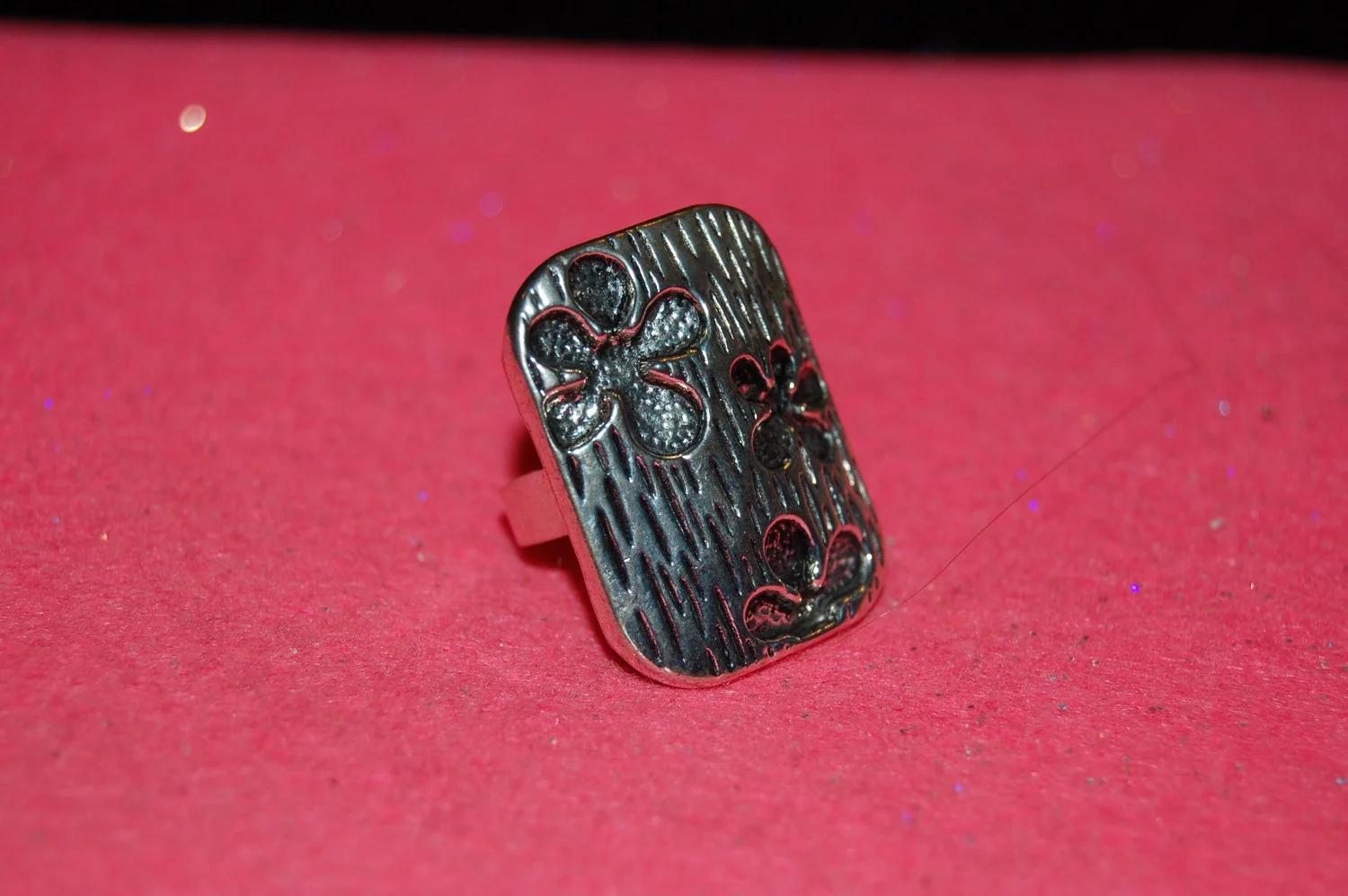 mini-DSC_9201.JPG