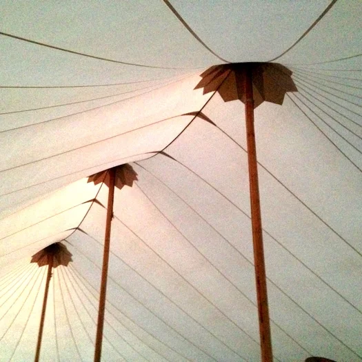 Tom Roush's Birthday Celebration