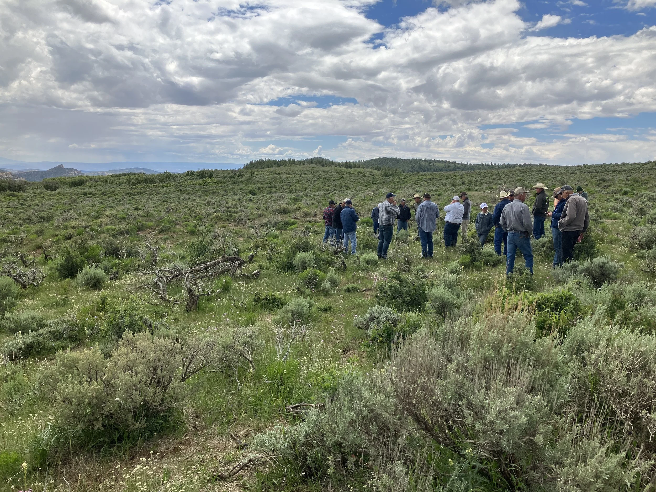 Grass Identification Course