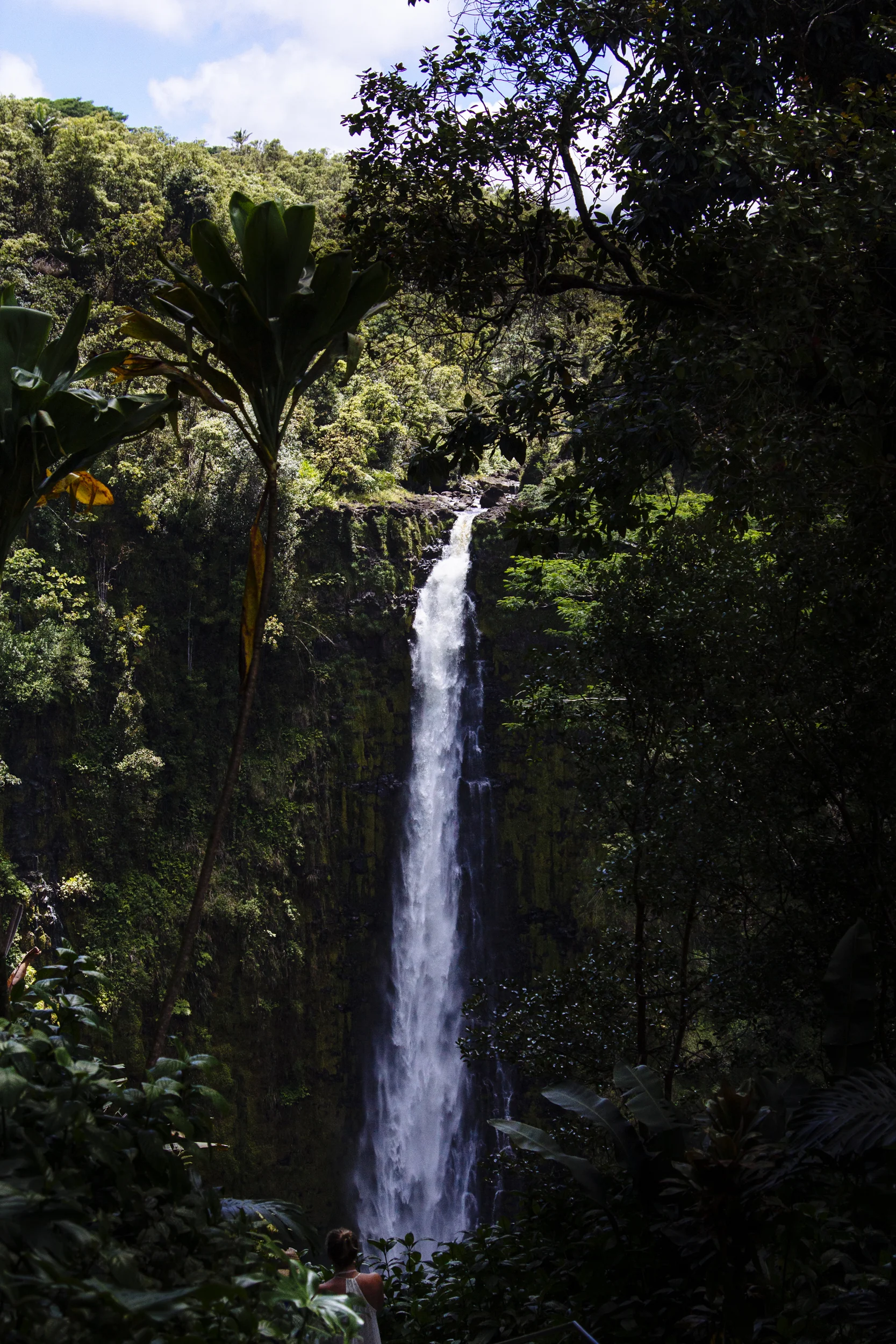 Akaka falls