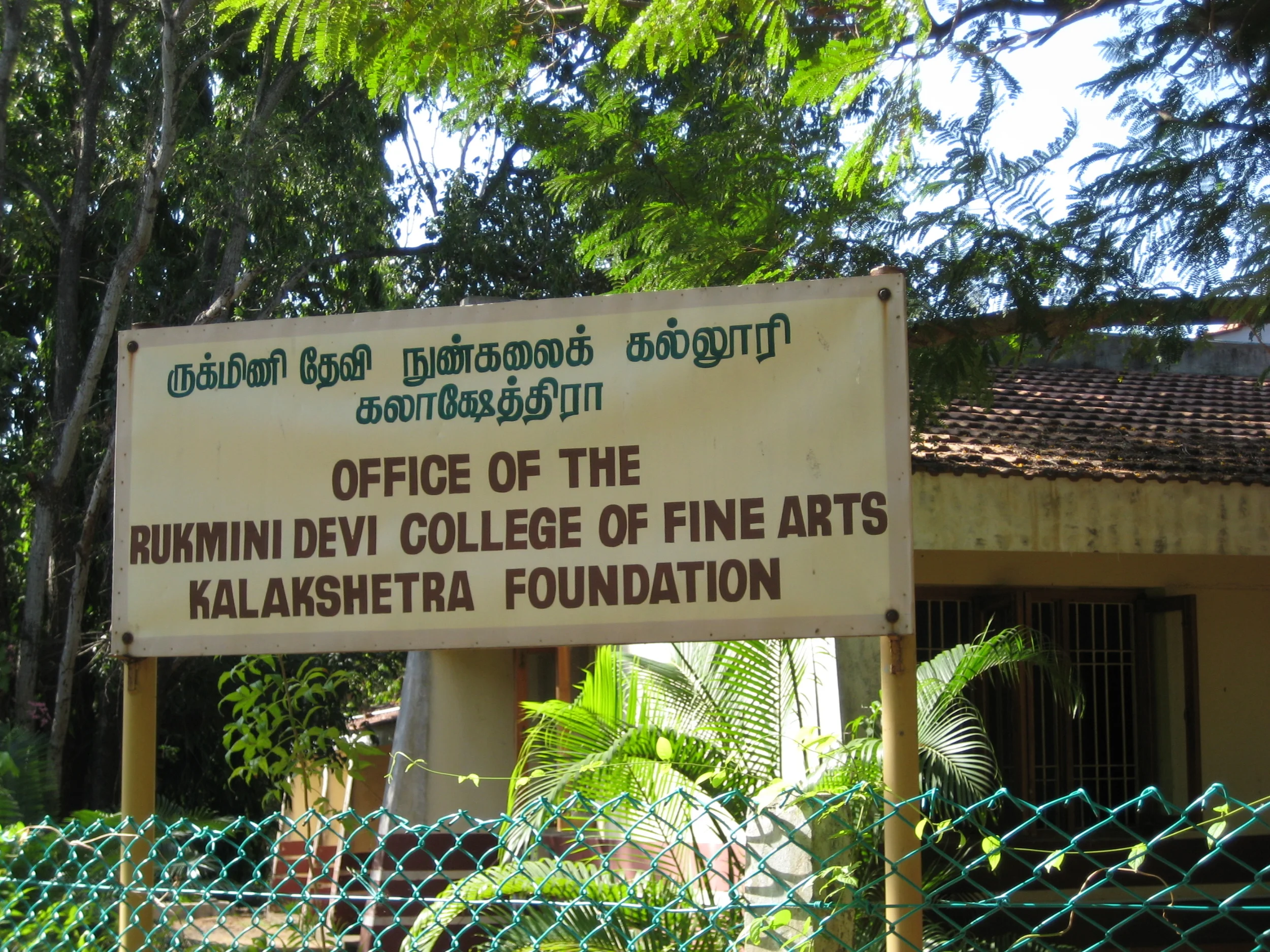 Under the Kalakshetra Banyan