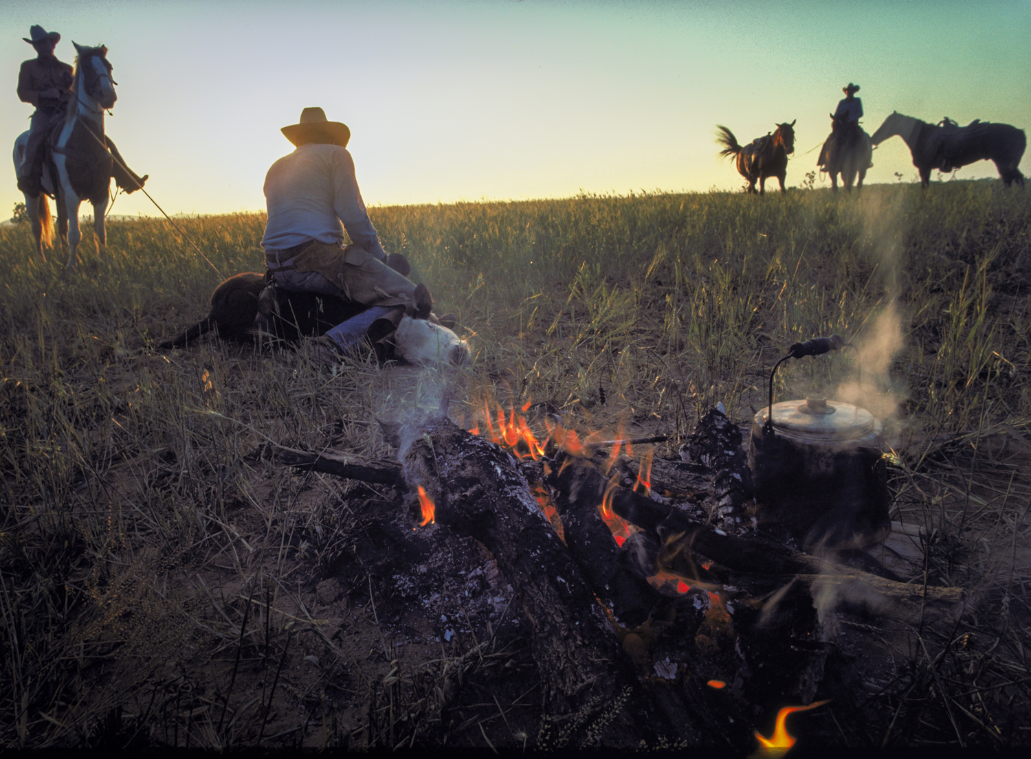 Cowboys, campfire and cattle branding at dawn Copyright © Kipp Baker, All rights reserved