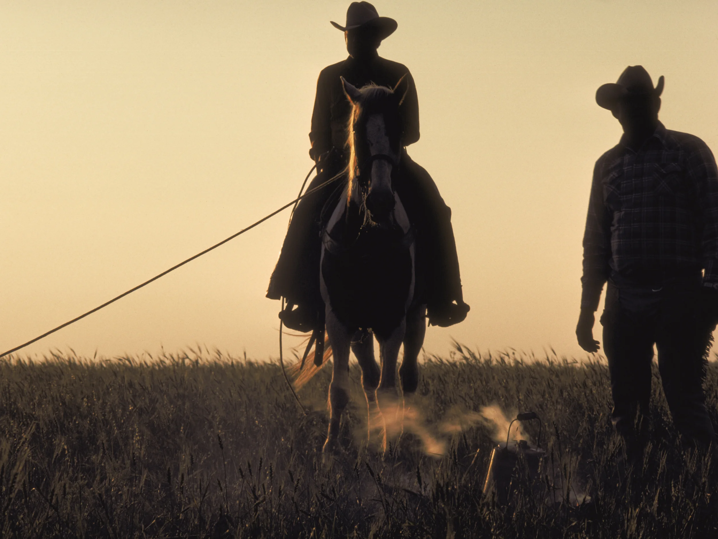 Two cowboys and campfire during cattle branding at dawn Copyright © Kipp Baker, All rights reserved