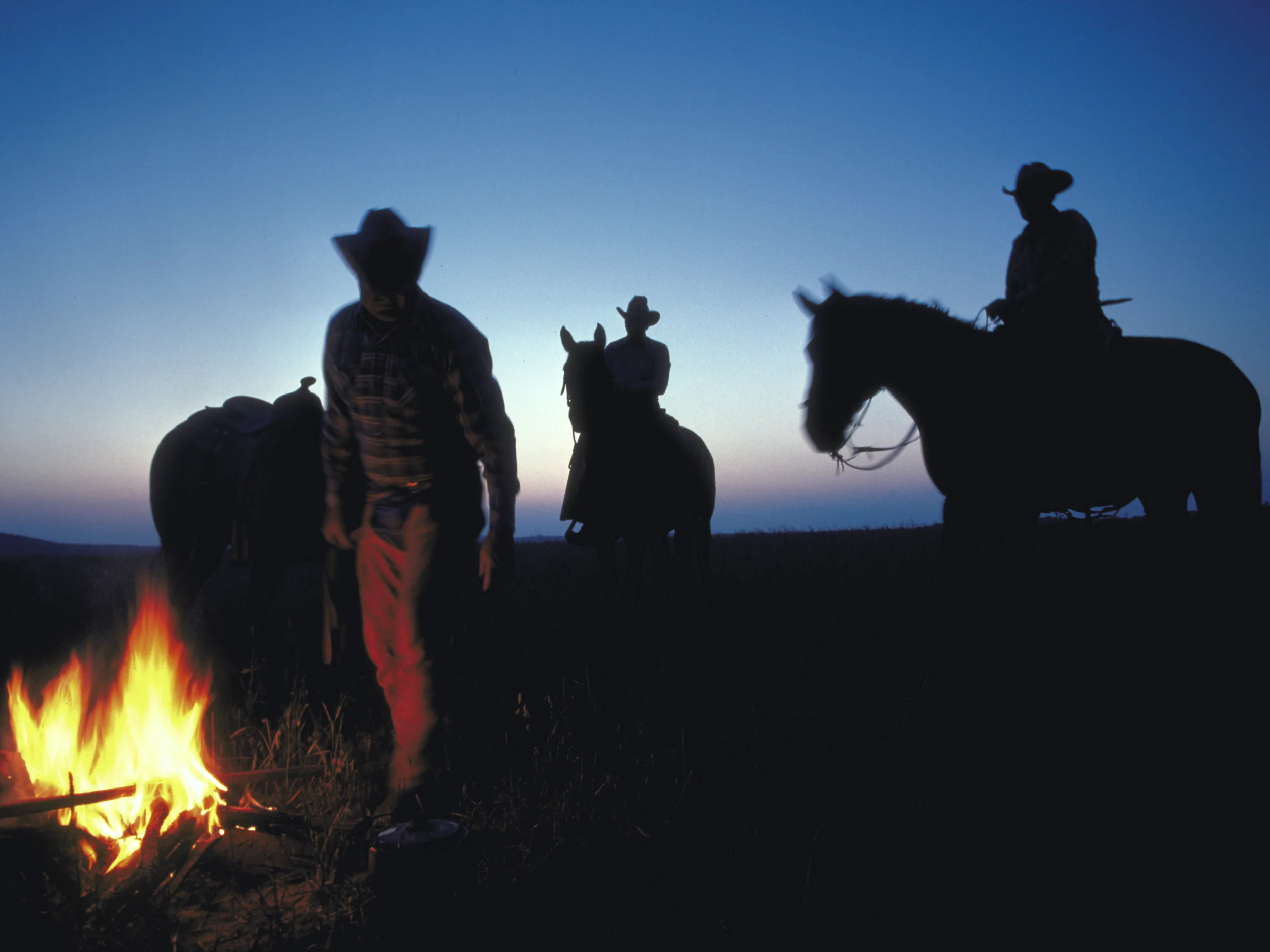 Cowboys with campfire at dawn for cattle round-up Copyright © Kipp Baker, All rights reserved