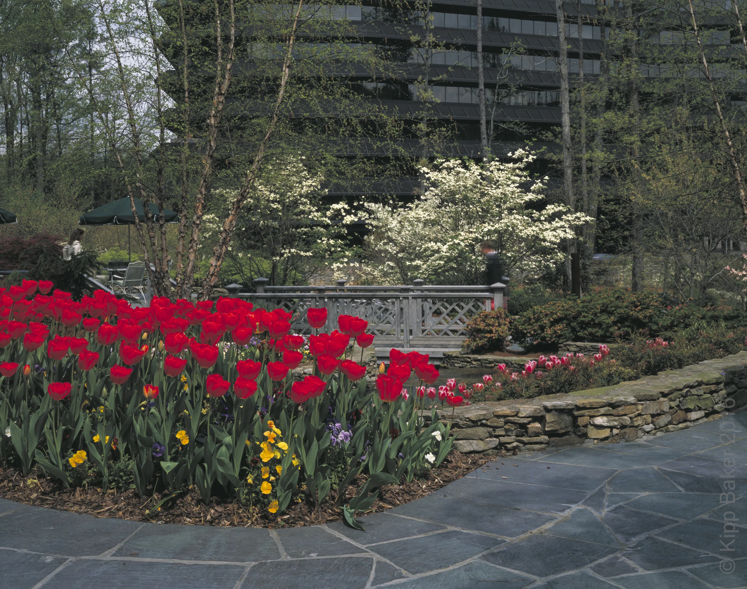 Three Ravinia Drive / MCI Office park, Atlanta, GA, USA. Architect Kevin Roche, John Dinkeloo & Associates. Copyright © Kipp Baker, All rights reserved.
