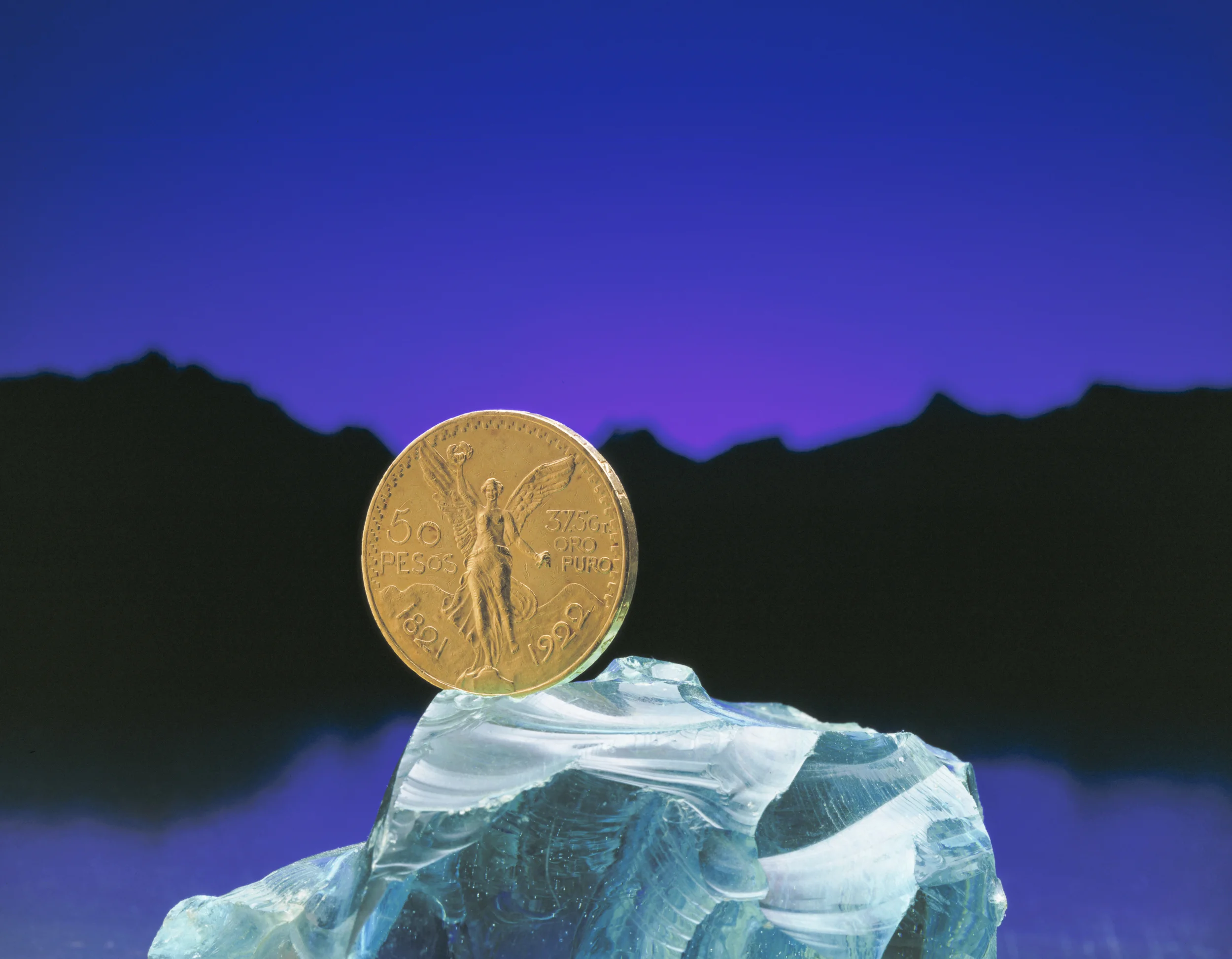 Image used in fund raising brochure Copyright © Kipp Baker, All rights reserved