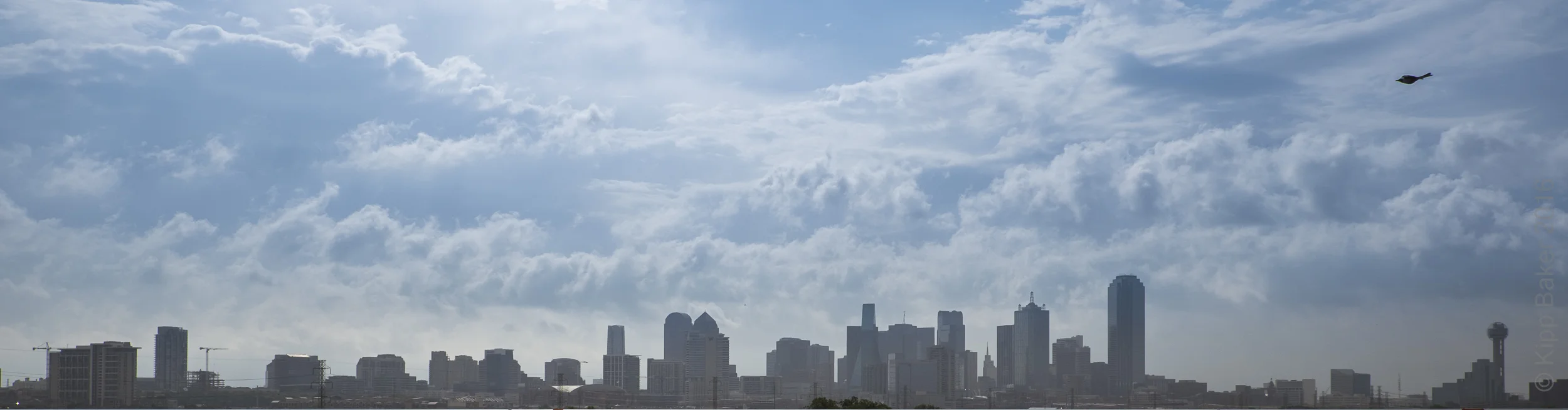 Skyline of Dallas, Texas Copyright © Kipp Baker, All rights reserved.