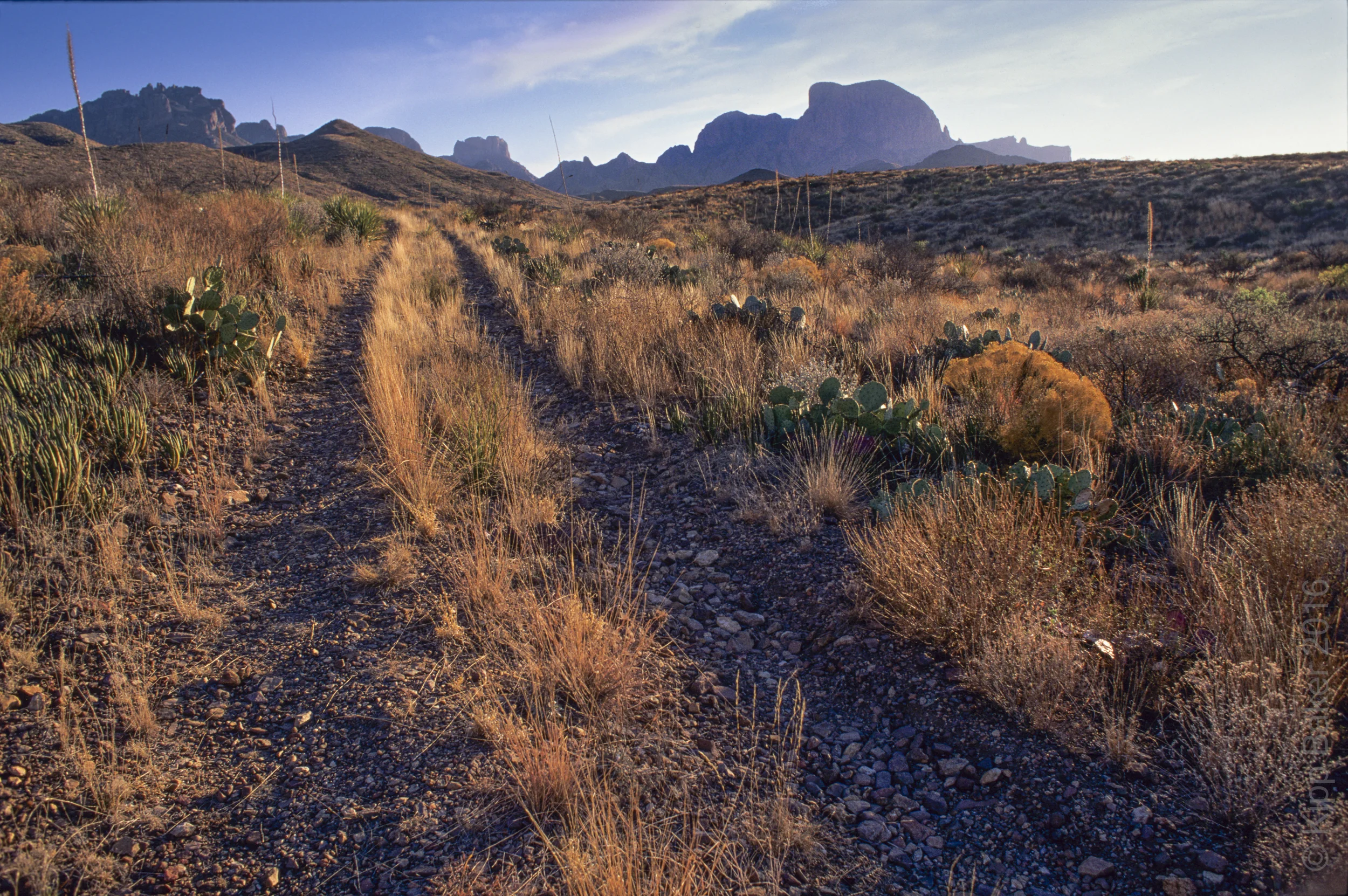 View of Big Bend National Park Copyright © Kipp Baker, All rights reserved.