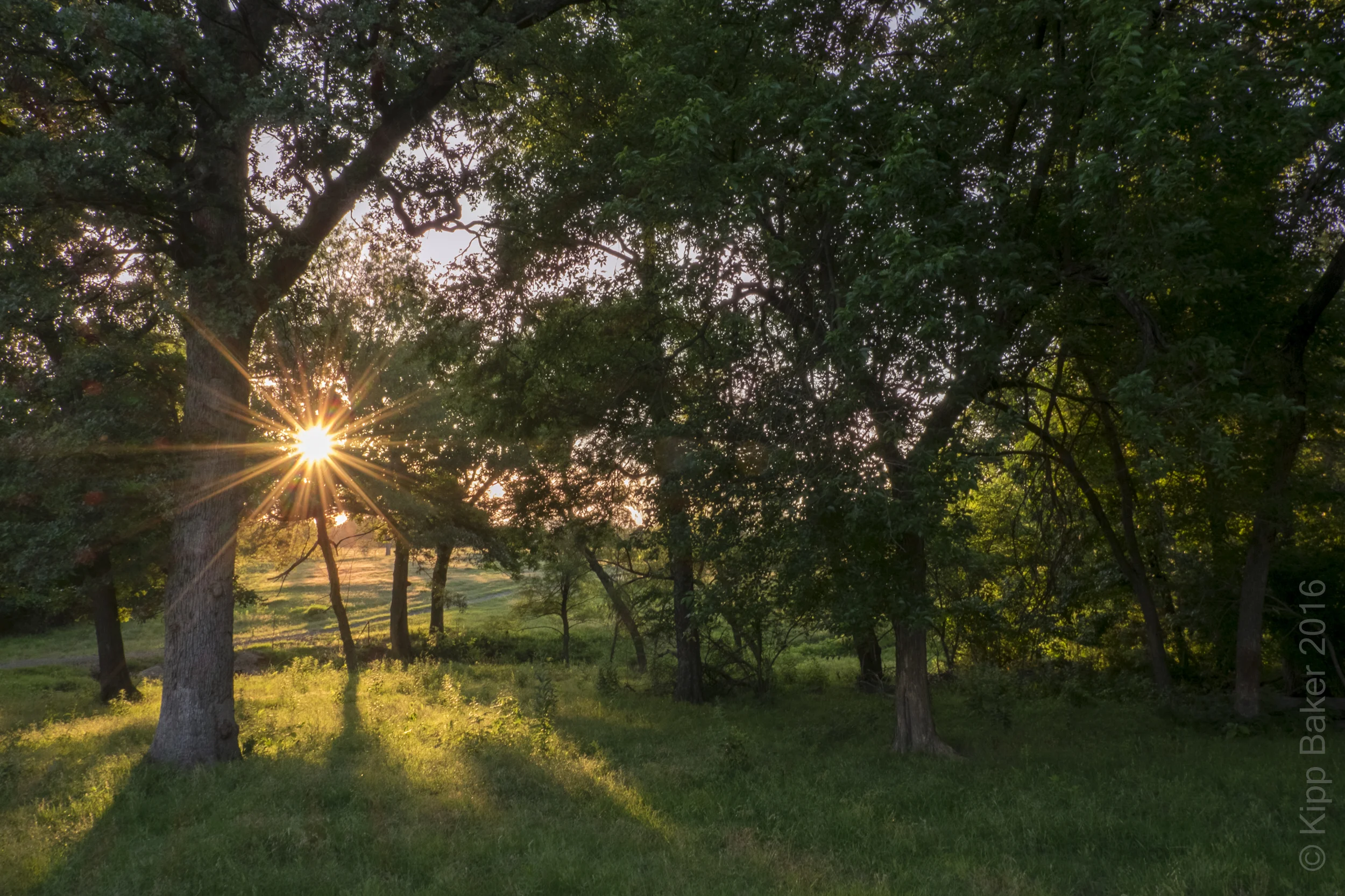 Oklahoma landscape near Whitefield and the McCoy-Carriker home Copyright © Kipp Baker, All rights reserved.