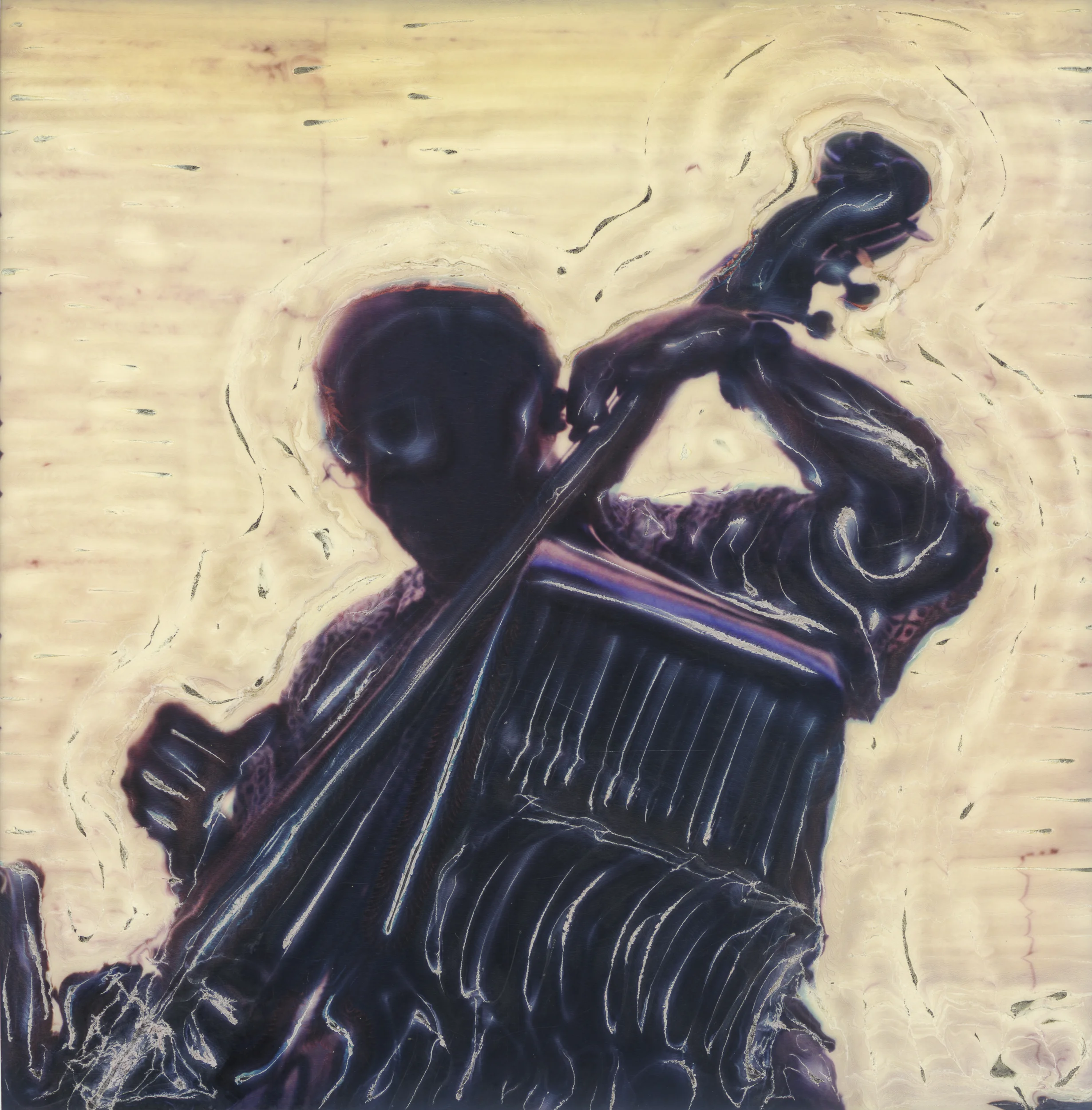 The Bass Player