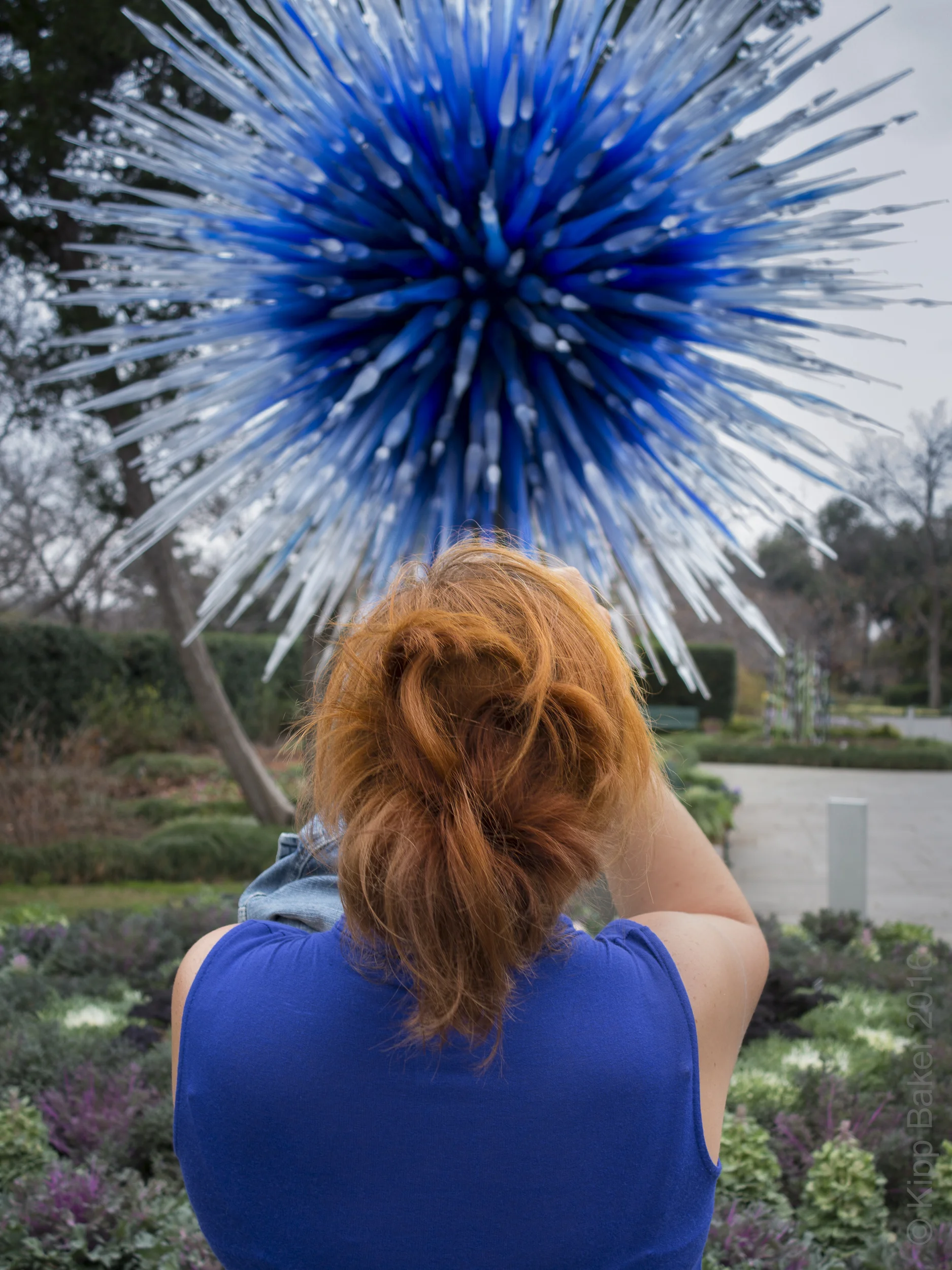 Chihuly Exhibit, Dallas, 2012