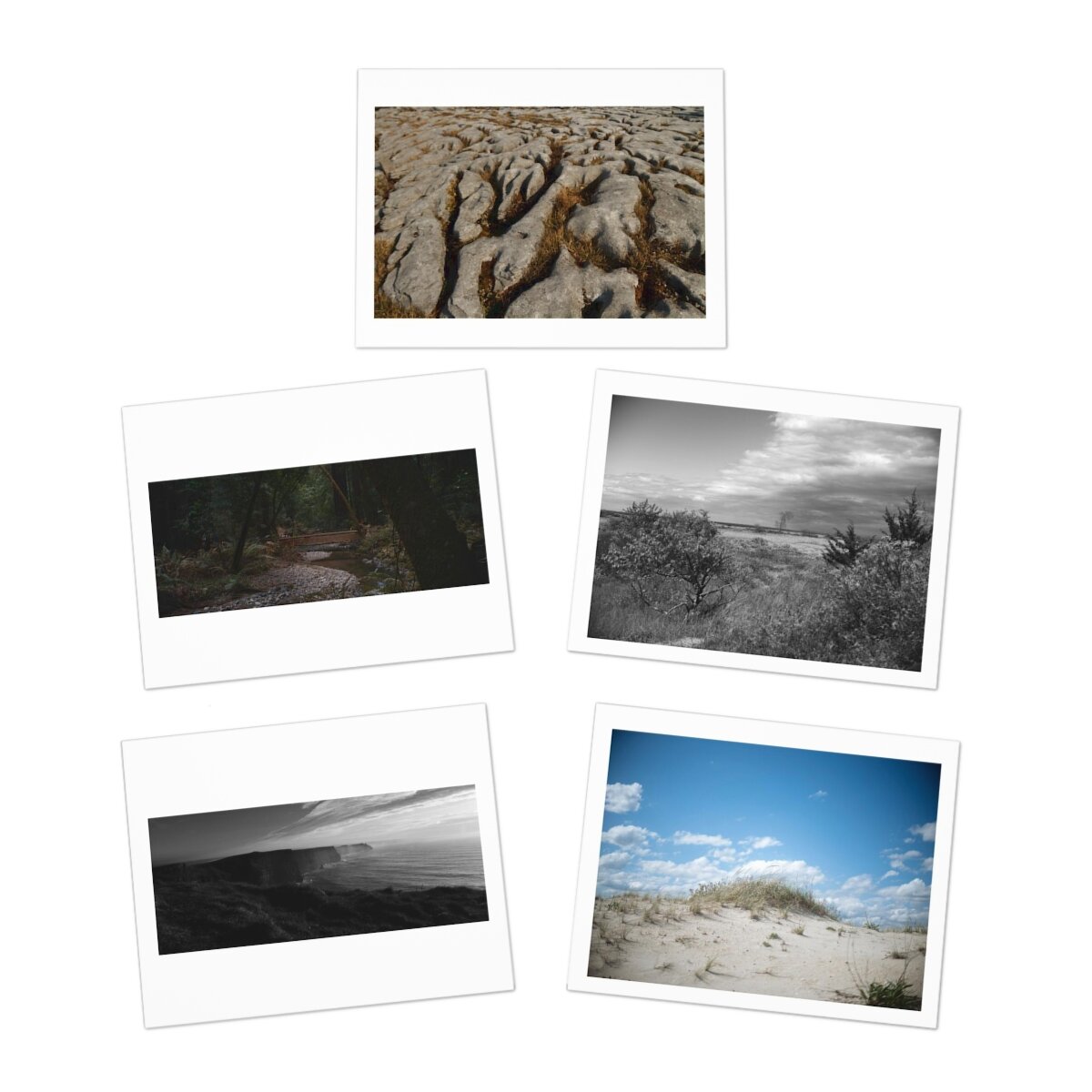 cd19eb39eda9a44f60e2f173857f7cbf