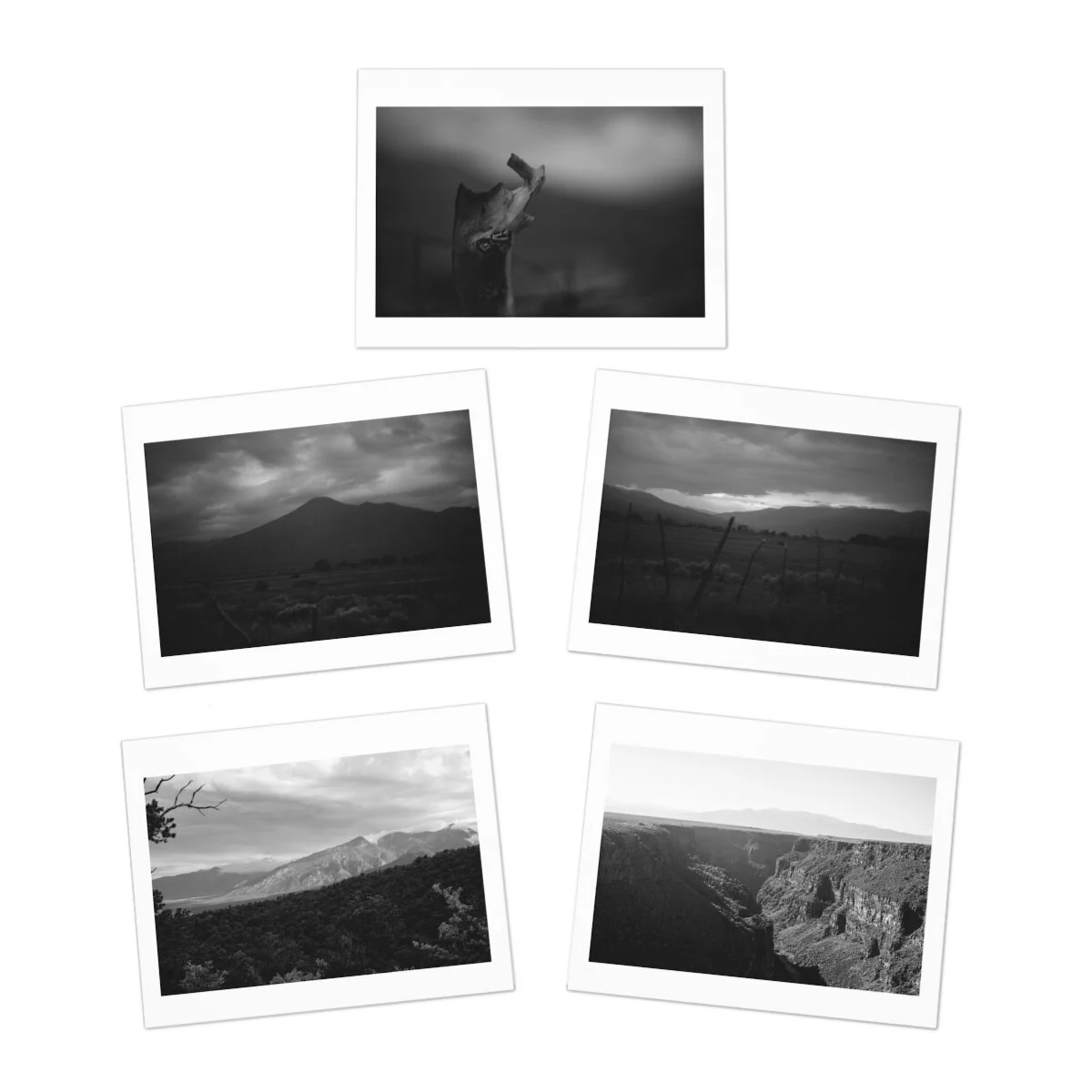 48f674dd25e69037de6ff411c225338b