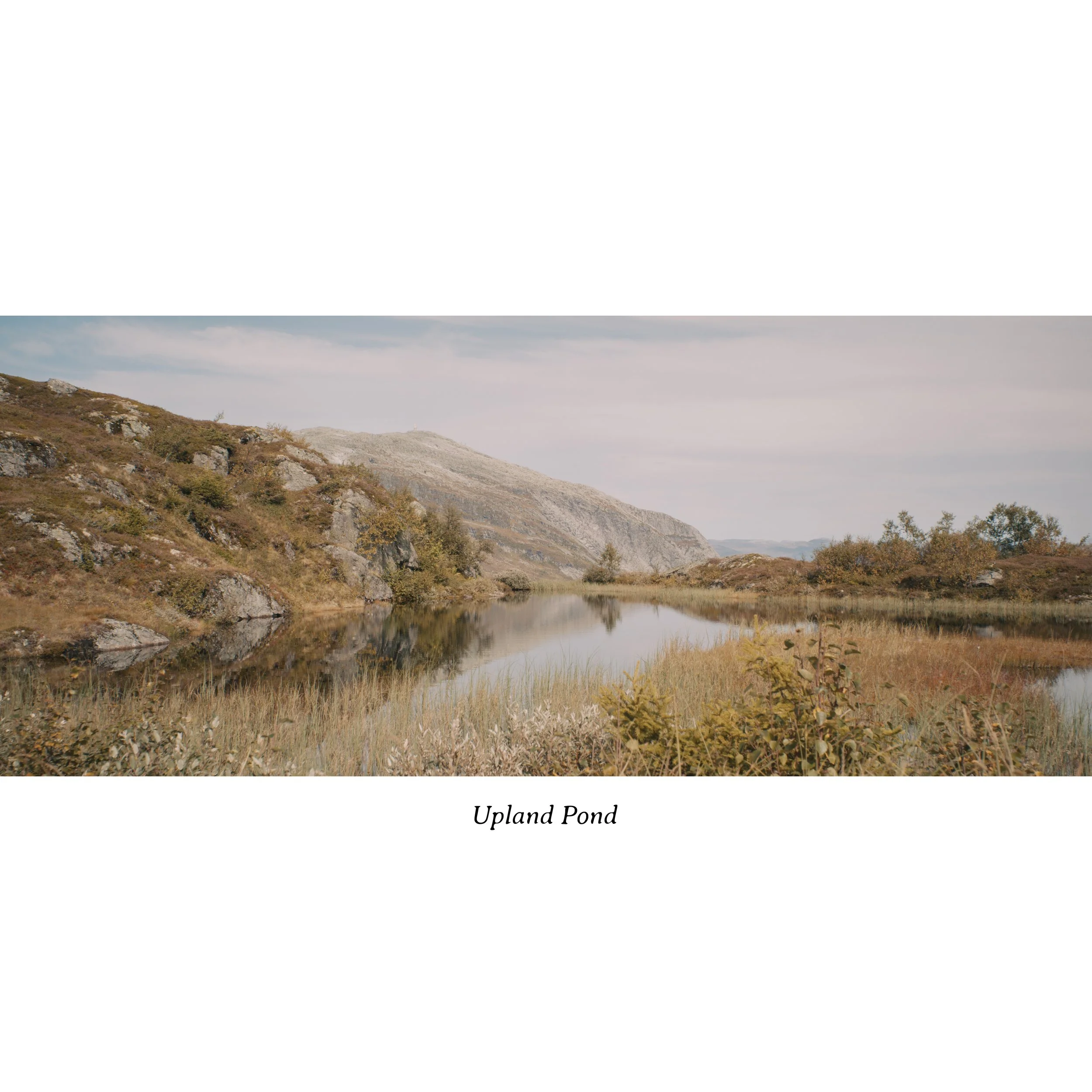 upland_pond.jpg