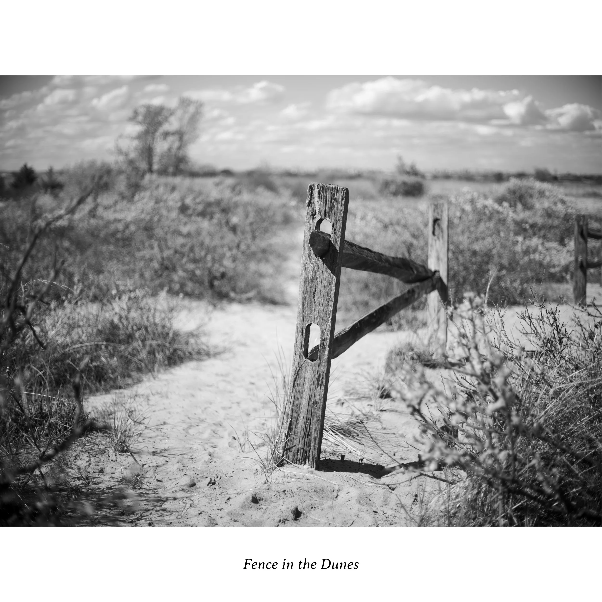 fence_dunes.jpg