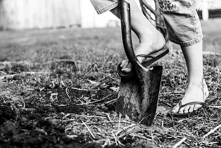 What's Your 'Type'? (aka This Post Will Save you Hundreds of Dollars)