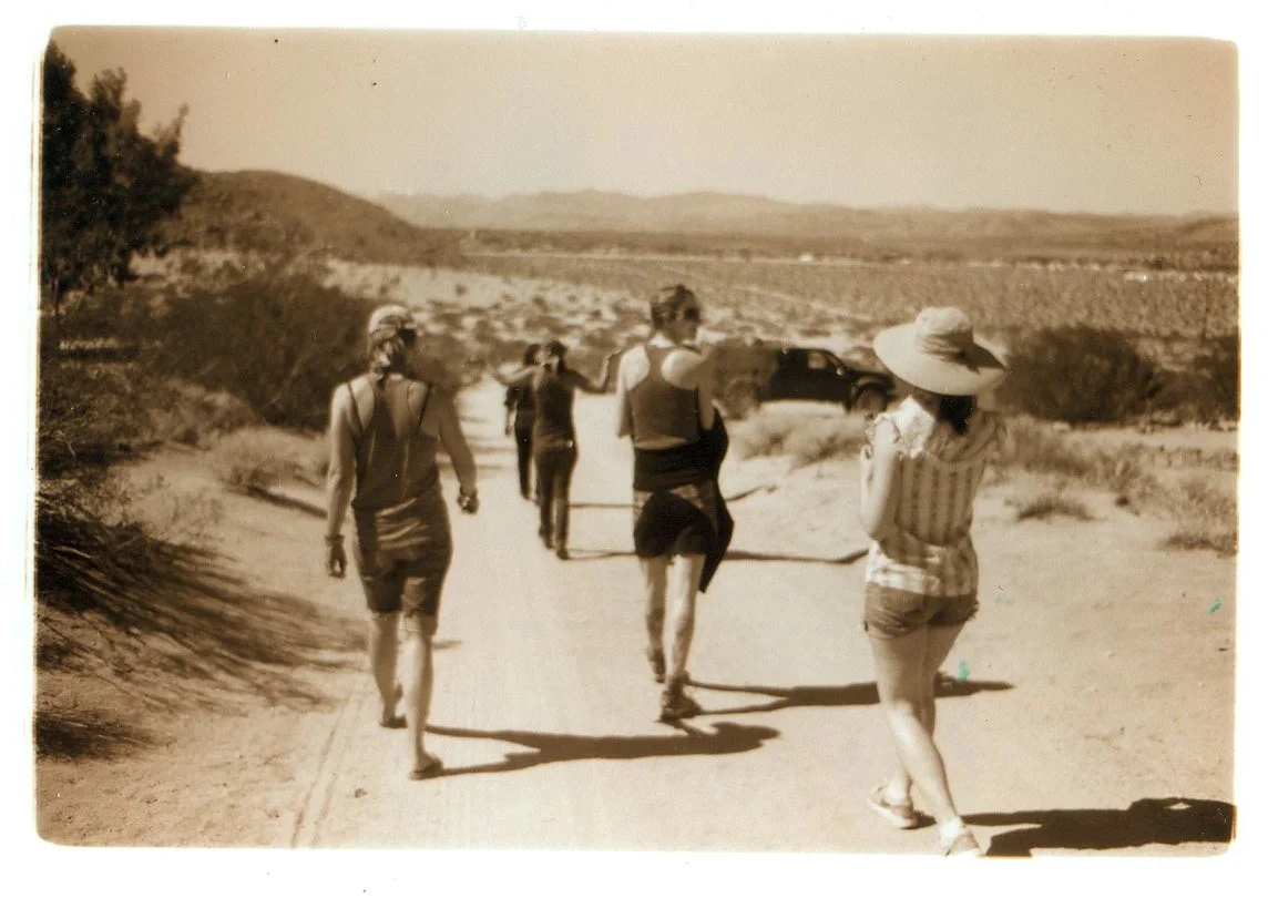 joshua tree, 2012
