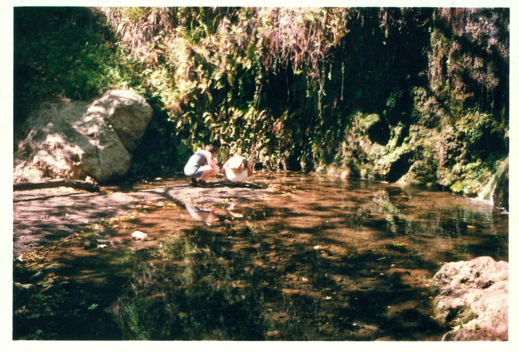 Grey & HT, 2010, Malibu