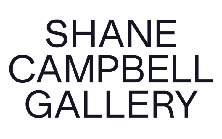 SHANE CAMPBELL GALLERY