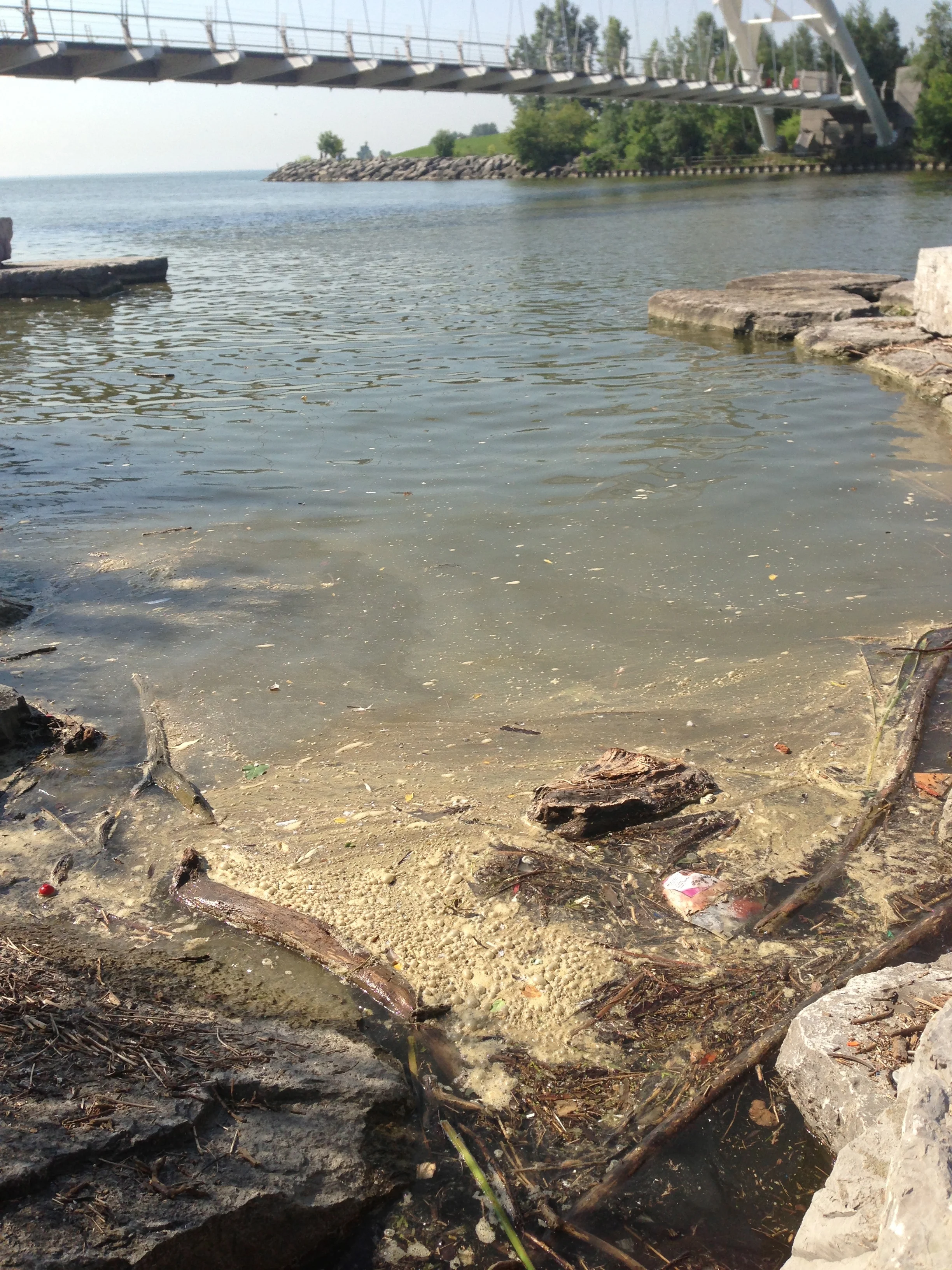 Pollution from the Toronto storm and Humber Wastewater Treatment Plant wash ashore, July 16, 2013. Photo by Lake Ontario Waterkeeper.
