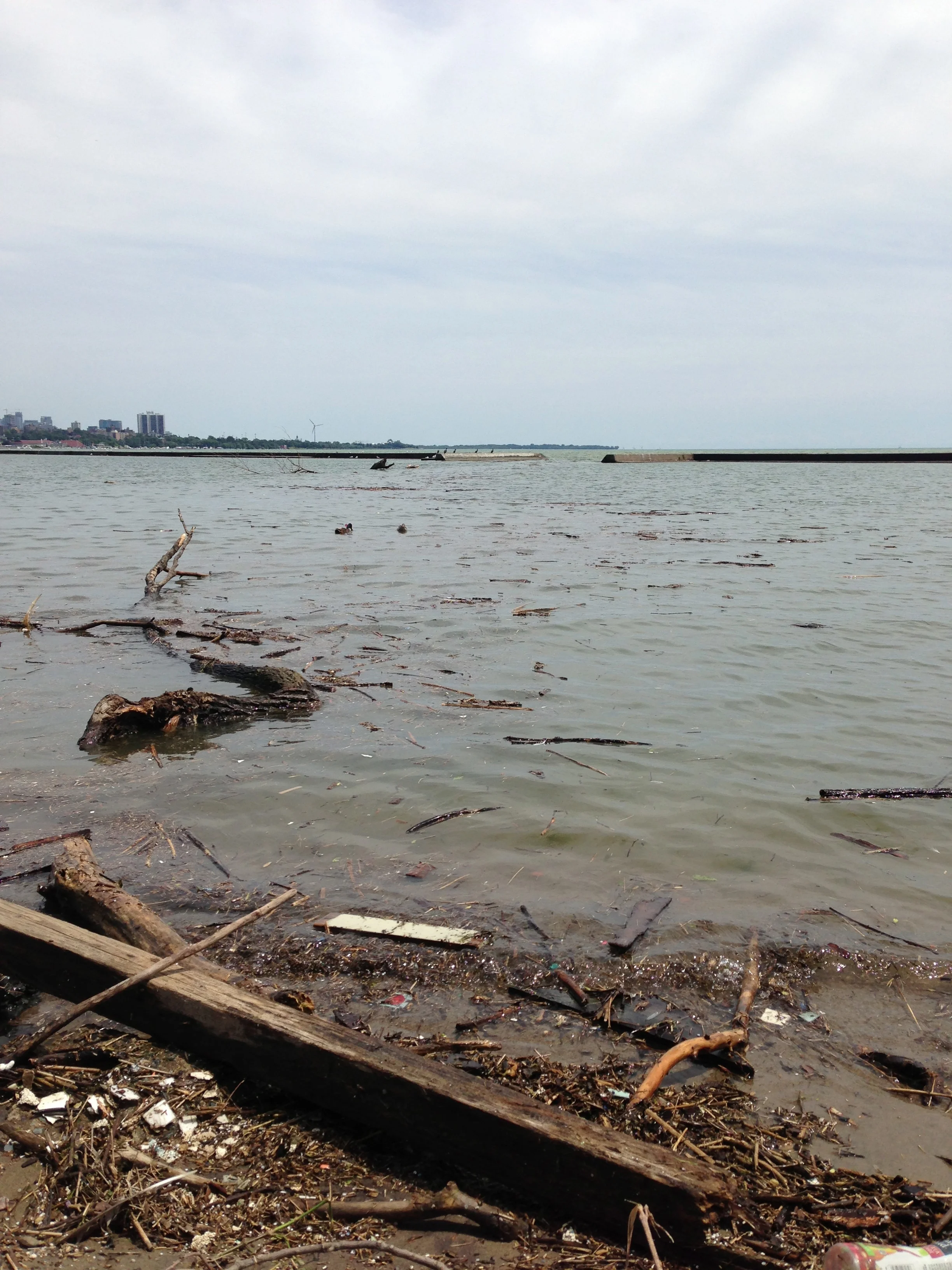Extensive debris washing ashore near the mouth of the Humber River post-flood. Photo courtesy of Lake Ontario Waterkeeper. July 12, 2013.