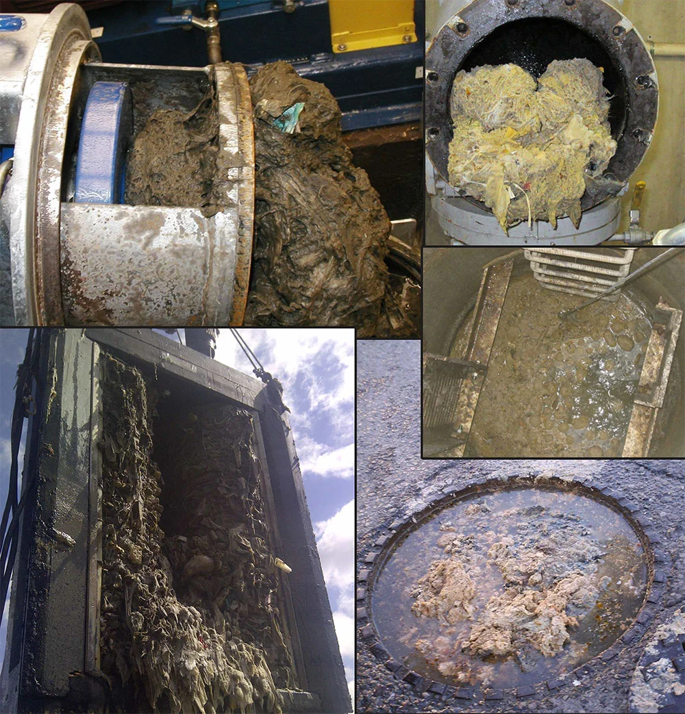 Images are sourced from wastewater expert, Barry Orr.