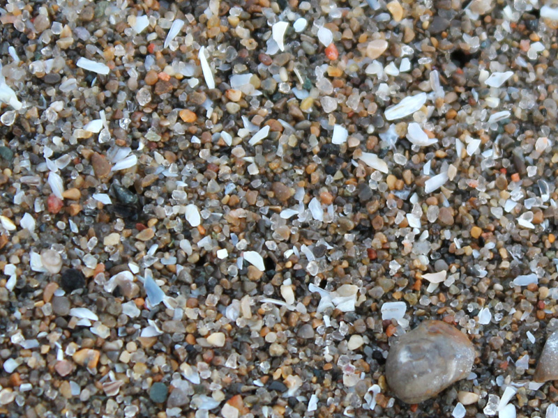 Close-up of Toronto's shoreline at Scarborough Bluffs Park. (Photo: Ruby Pajares)