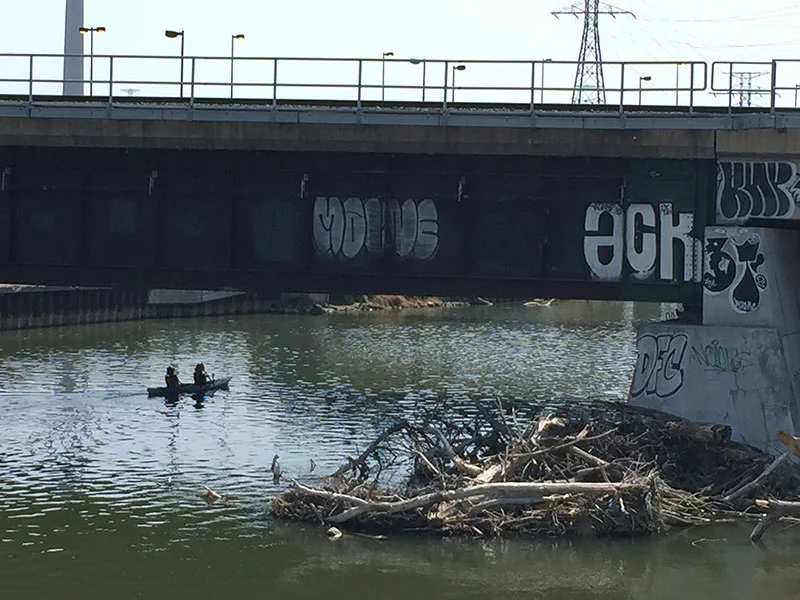 Floating past deadfall and debris along the Don Valley Parkway. (Photo: Trevor Parker)