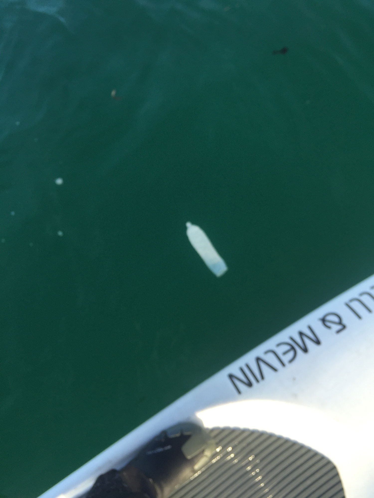 Paddling past a floating condom. (Photo by Michael Austin)