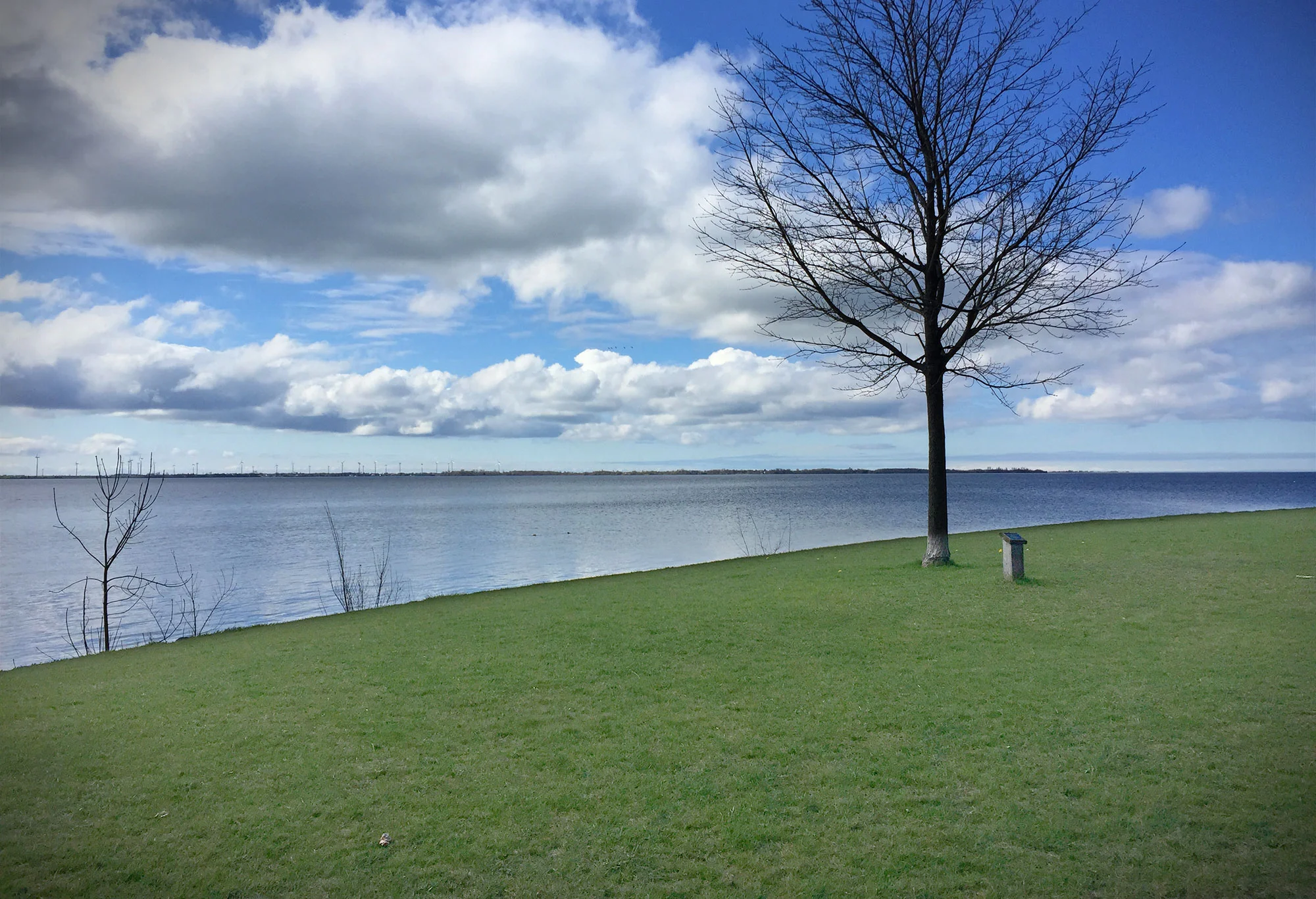 Standing along Kingston's shoreline at Richardson's Beach . (Photo by Donna Wawzonek)